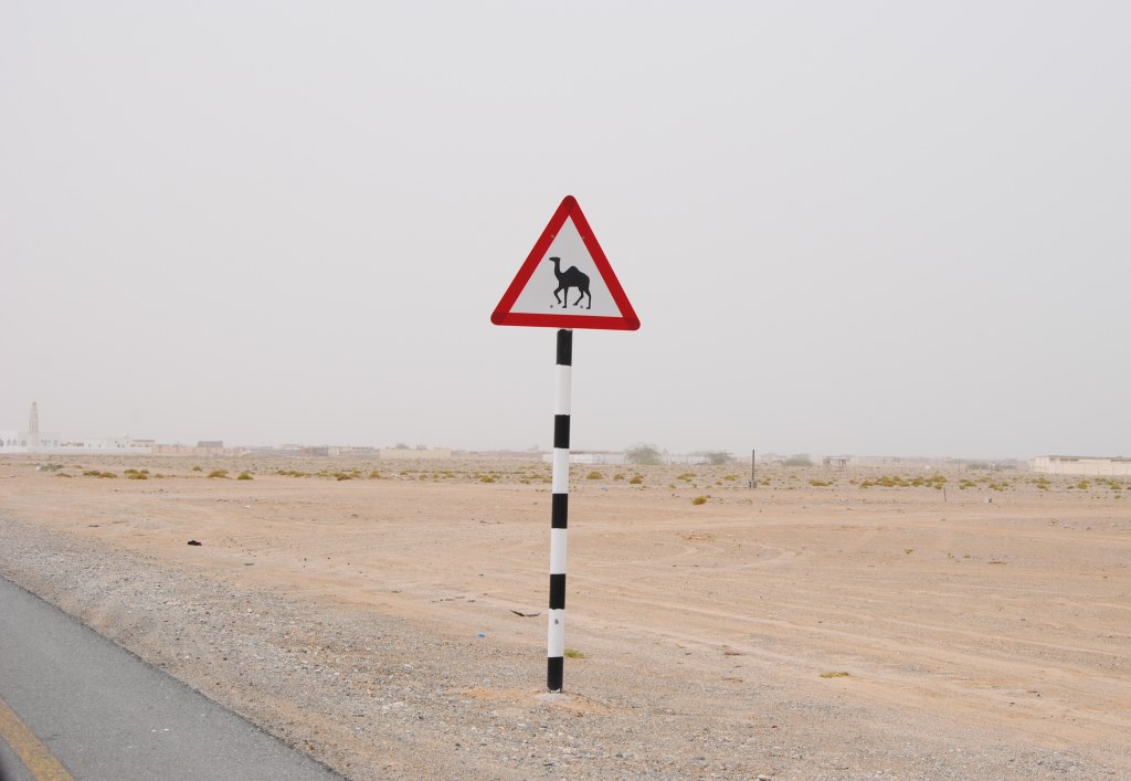 Ein Verkehrsschild warnt vor Kamelen