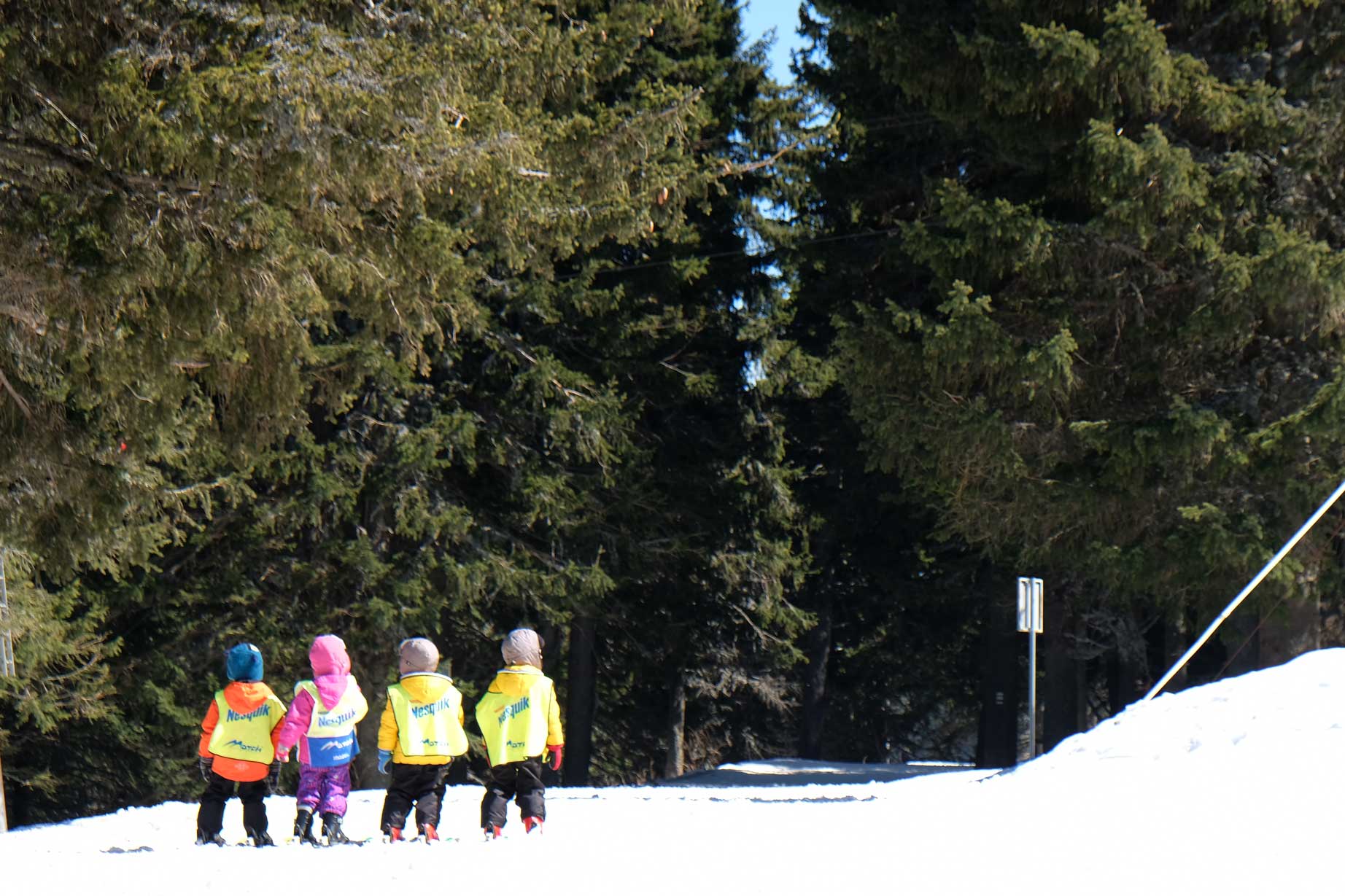 Vier Kinder auf Skiern im Schnee