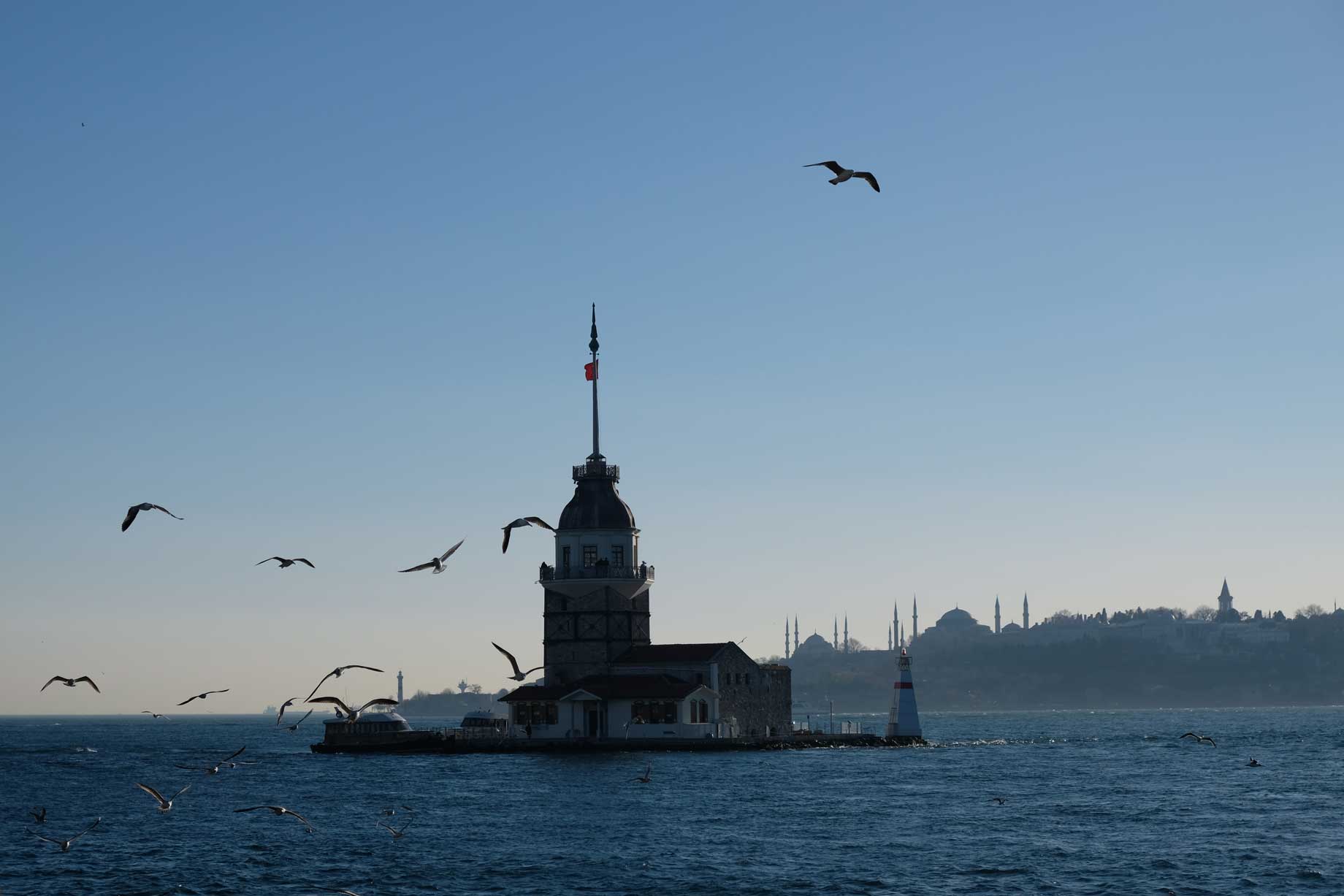 Der Leuchtturm Kız Kulesi und Möven in der Luft