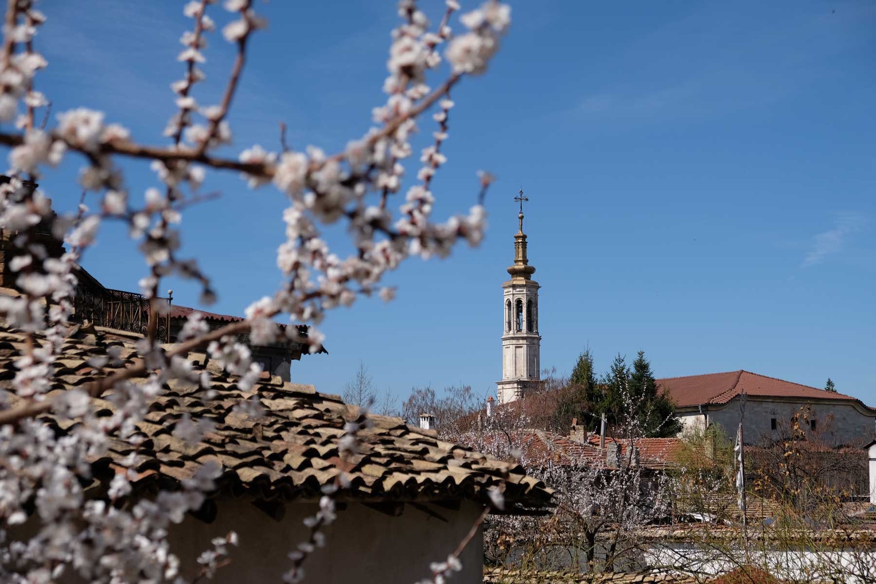 Ein Kirchturm und ein Baum mit weißen Blüten