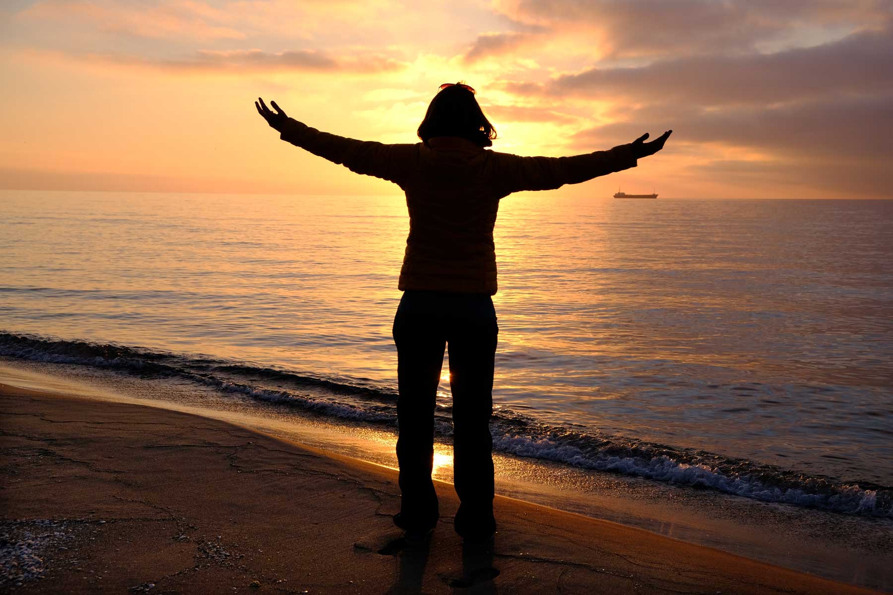 Leos Silhouette am Strand