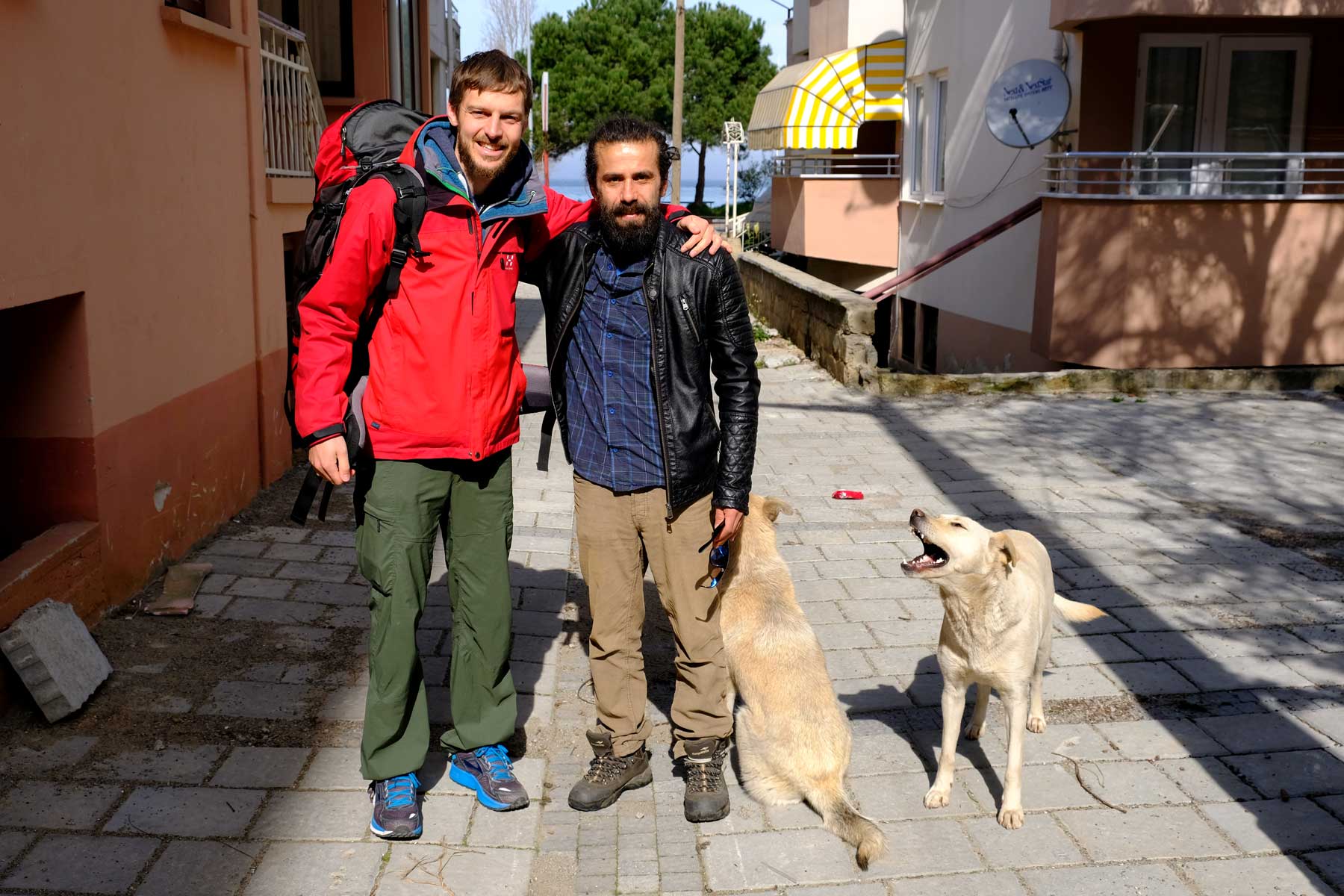 Sebastian und Muammer stehen neben zwei Hunden