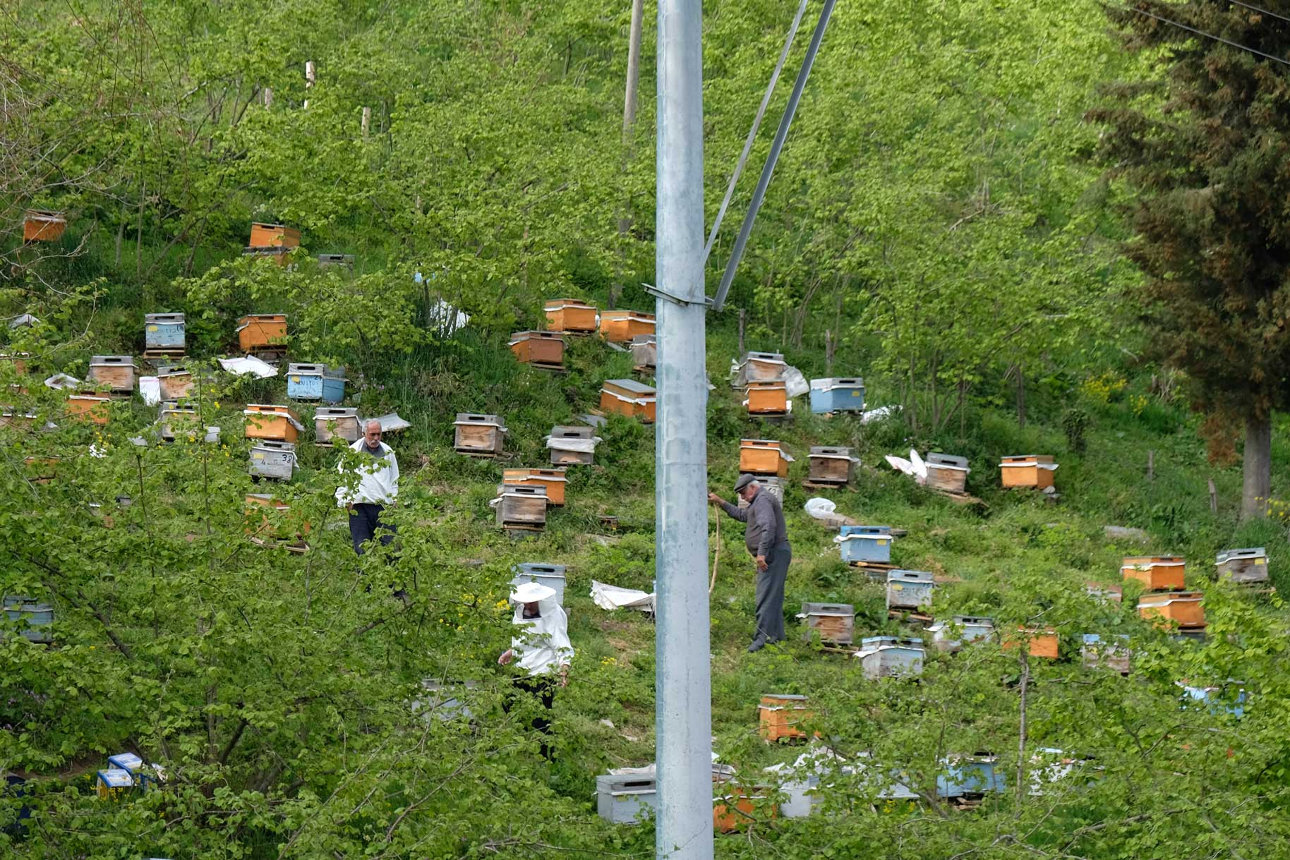 Bienenkästen und zwei Imker