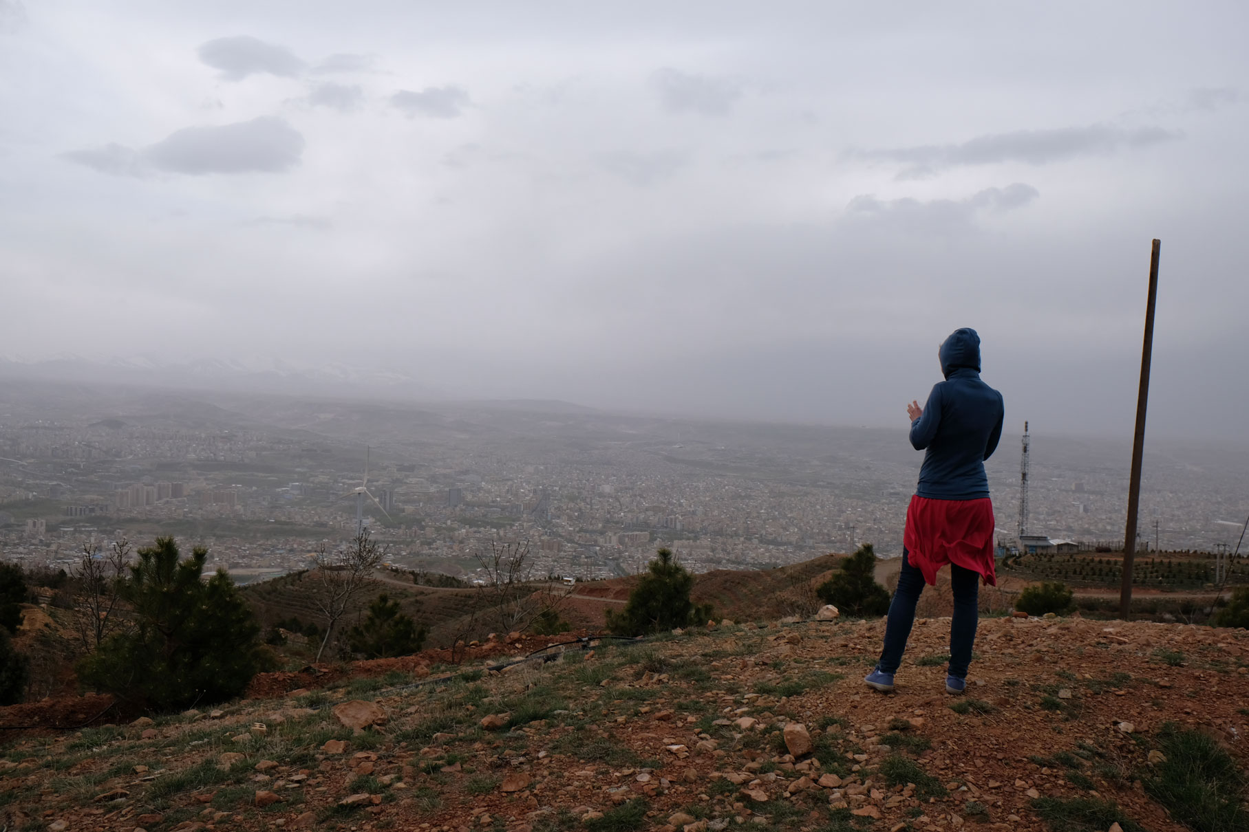 Leo mit Blick auf Tabriz