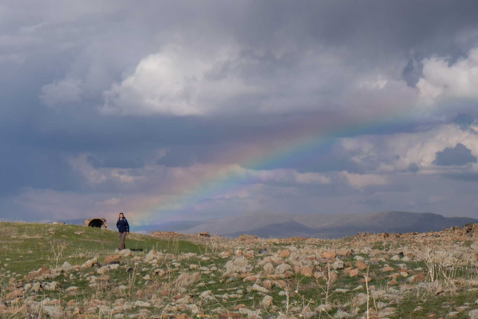 Leo am Ende eines Regenbogens