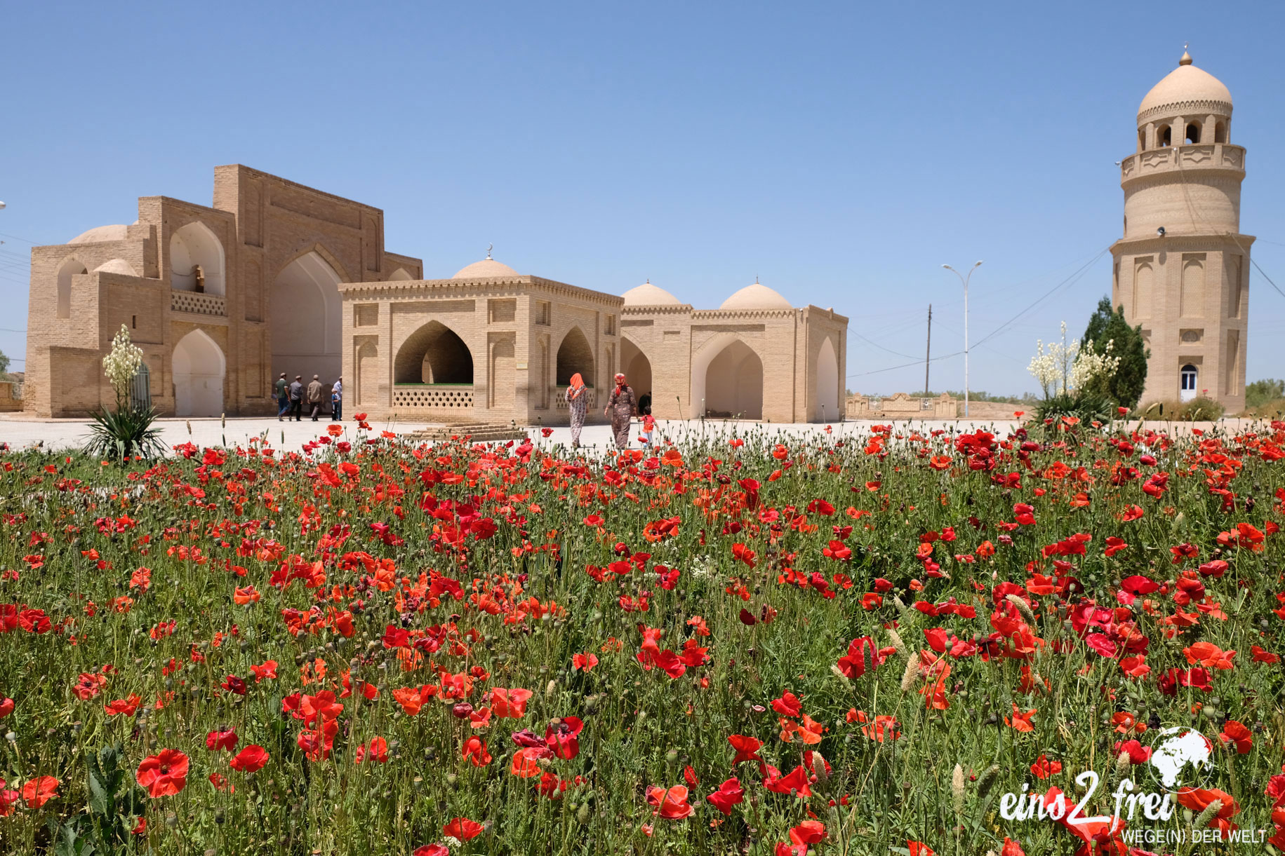 Ein Mausoleum und ein Mohnfeld in Merv in Turkmenistan