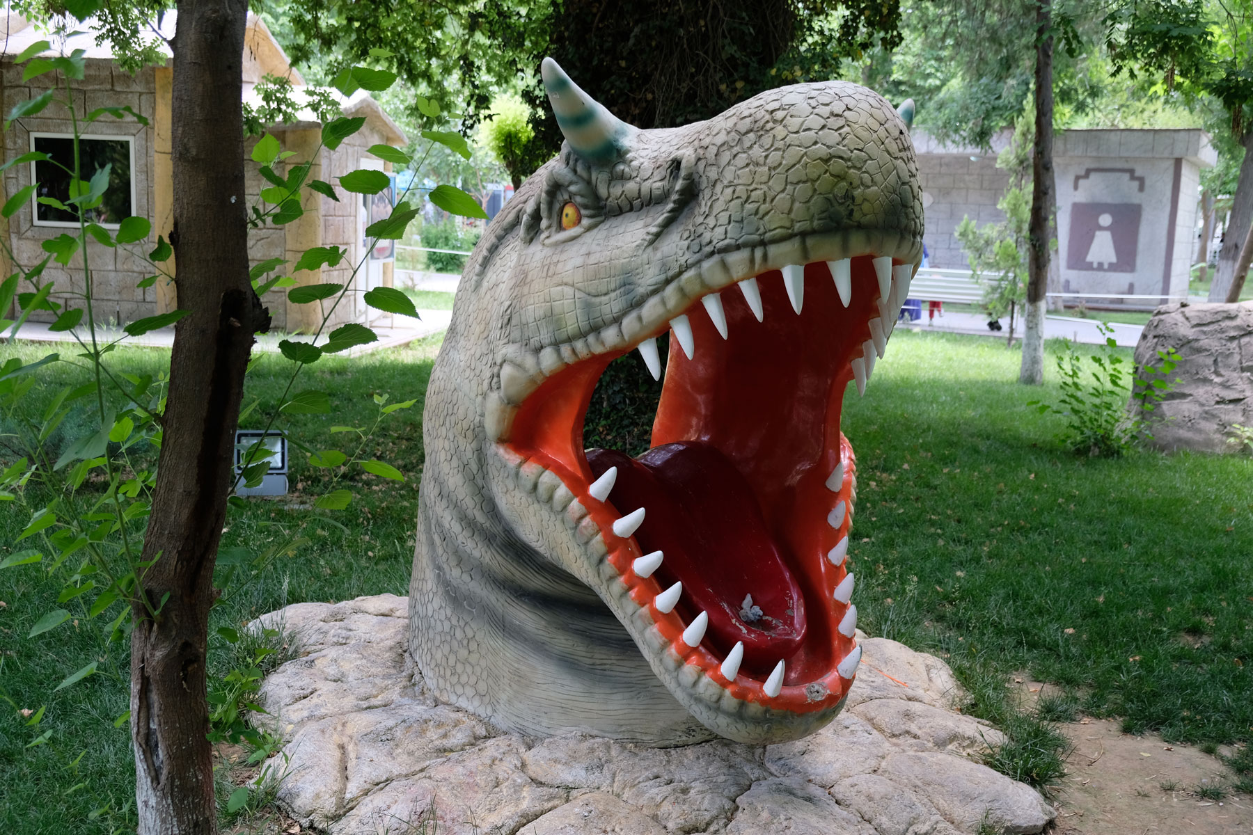 Kopf eines Tyrannosaurus