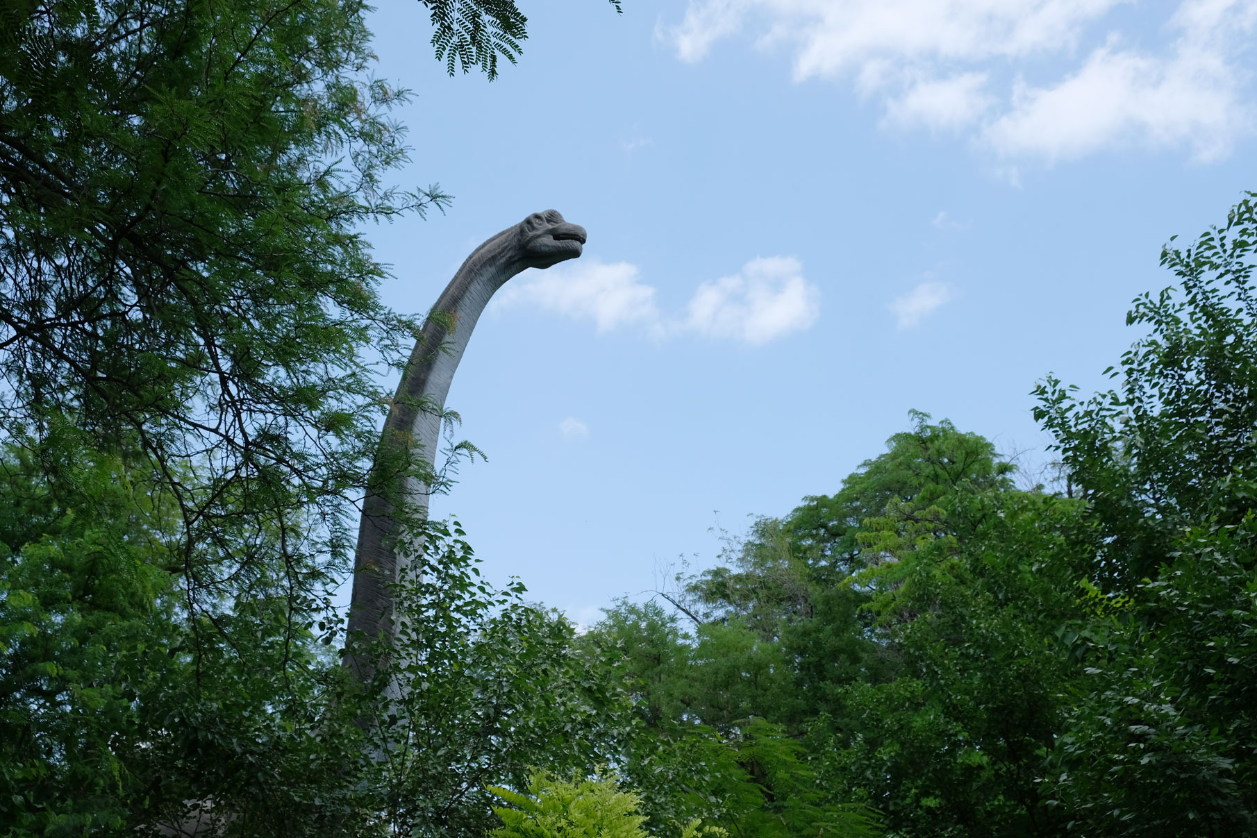 Zwischen Bäumen schaut der Hals und Kopf eines Sauropoden hervor
