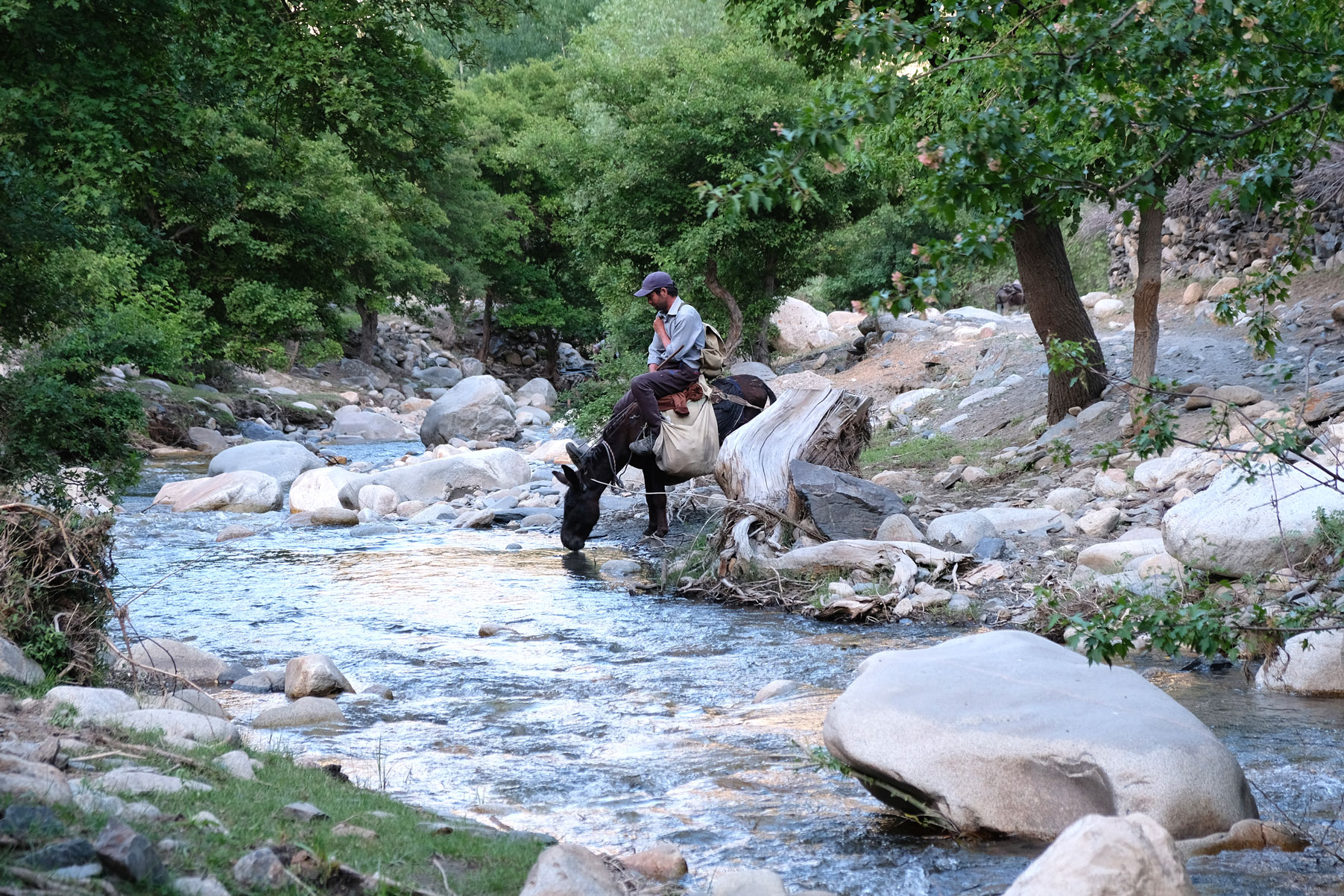 Ein Reiter sitzt auf einem Pferd, das aus einem Fluss trinkt