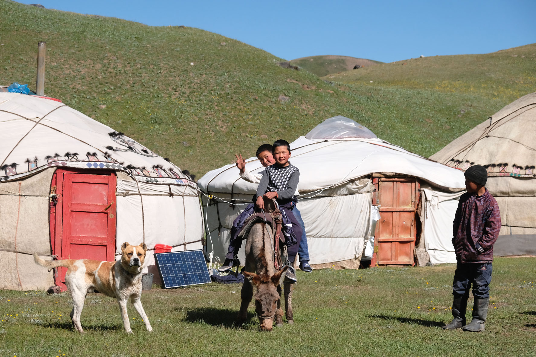 Zwei Jungen reiten vor kirgisischen Jurten auf einem Esel.