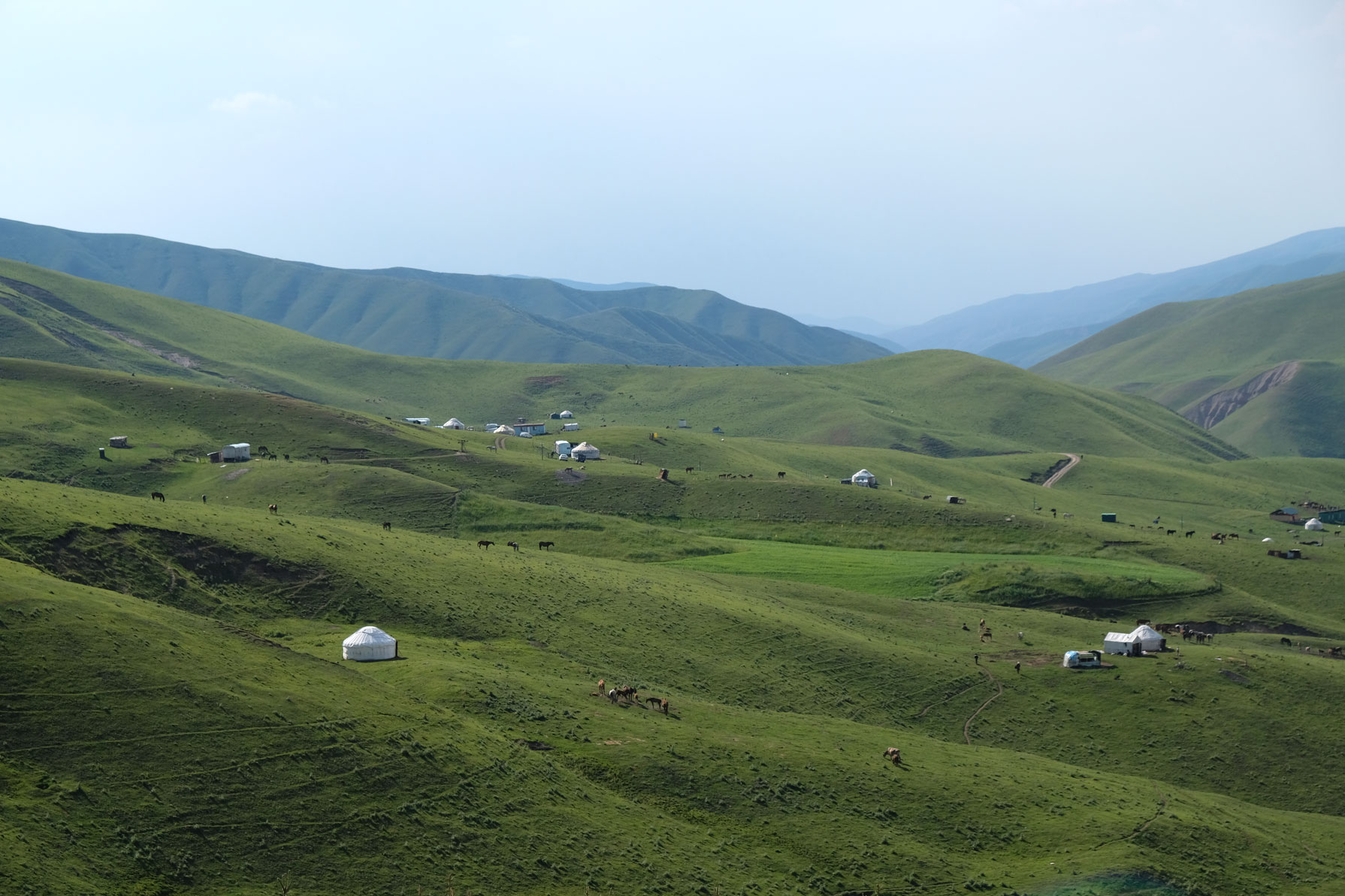 Kirgisische Jurten auf einer großen Wiese.