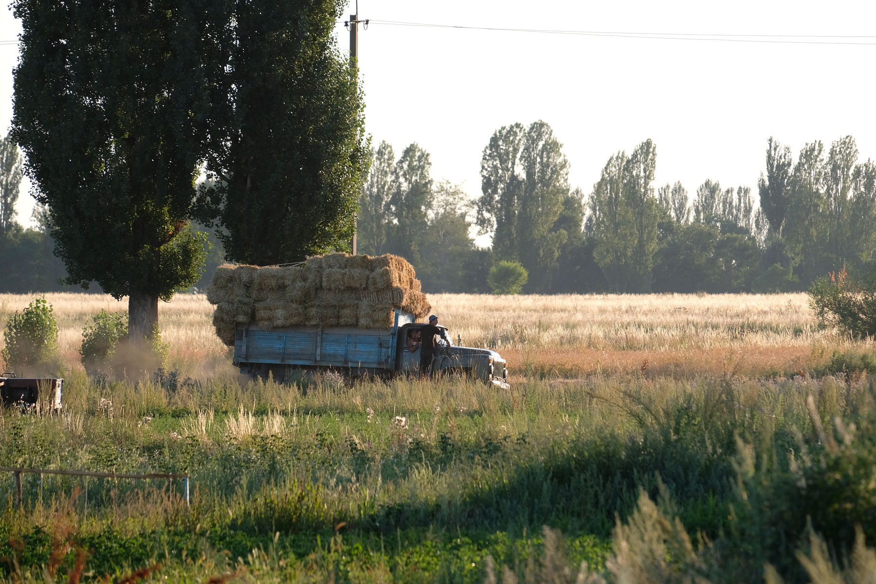 Ein Lastwagen, der mit Stroh beladen ist , fährt über eine Wiese.