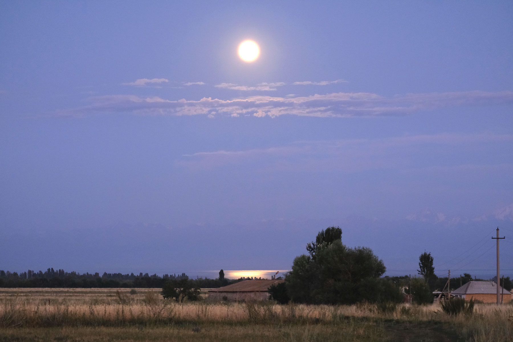 Vollmond über einer Wiese.