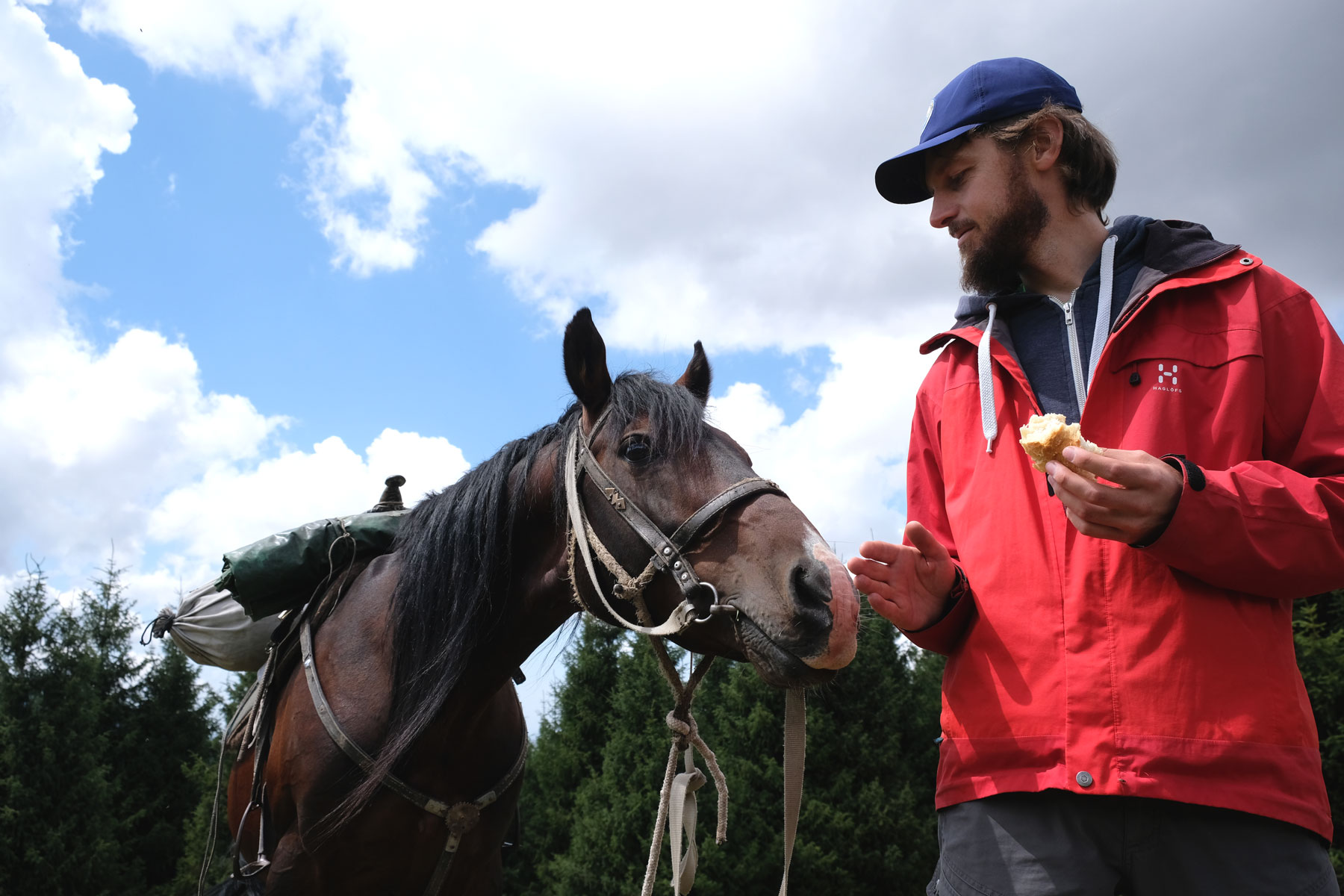 Ein Pferd riecht an Sebastians Hand, in der er ein Stück Brot hält.