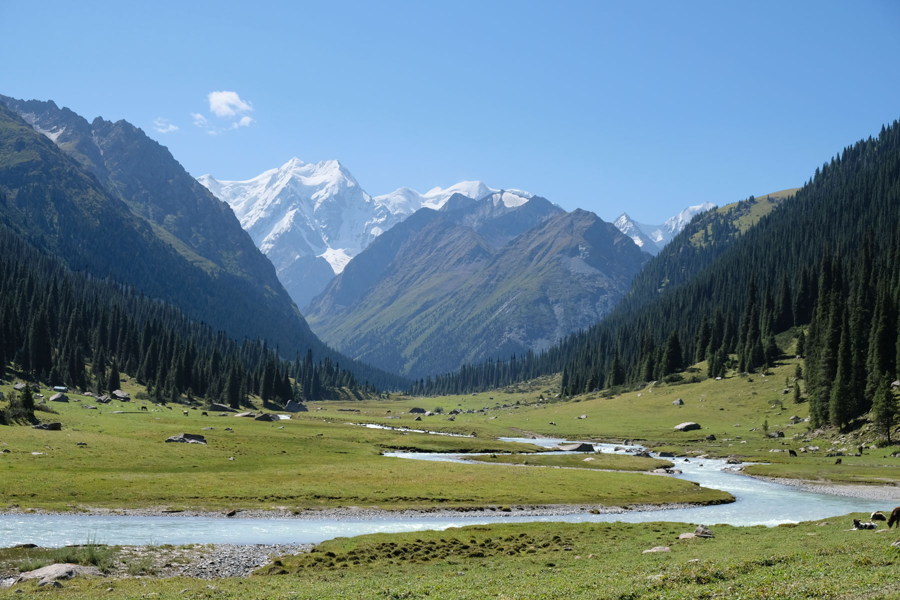 Ein Bach schlängelt sich durch eine Gebirgslandschaft.