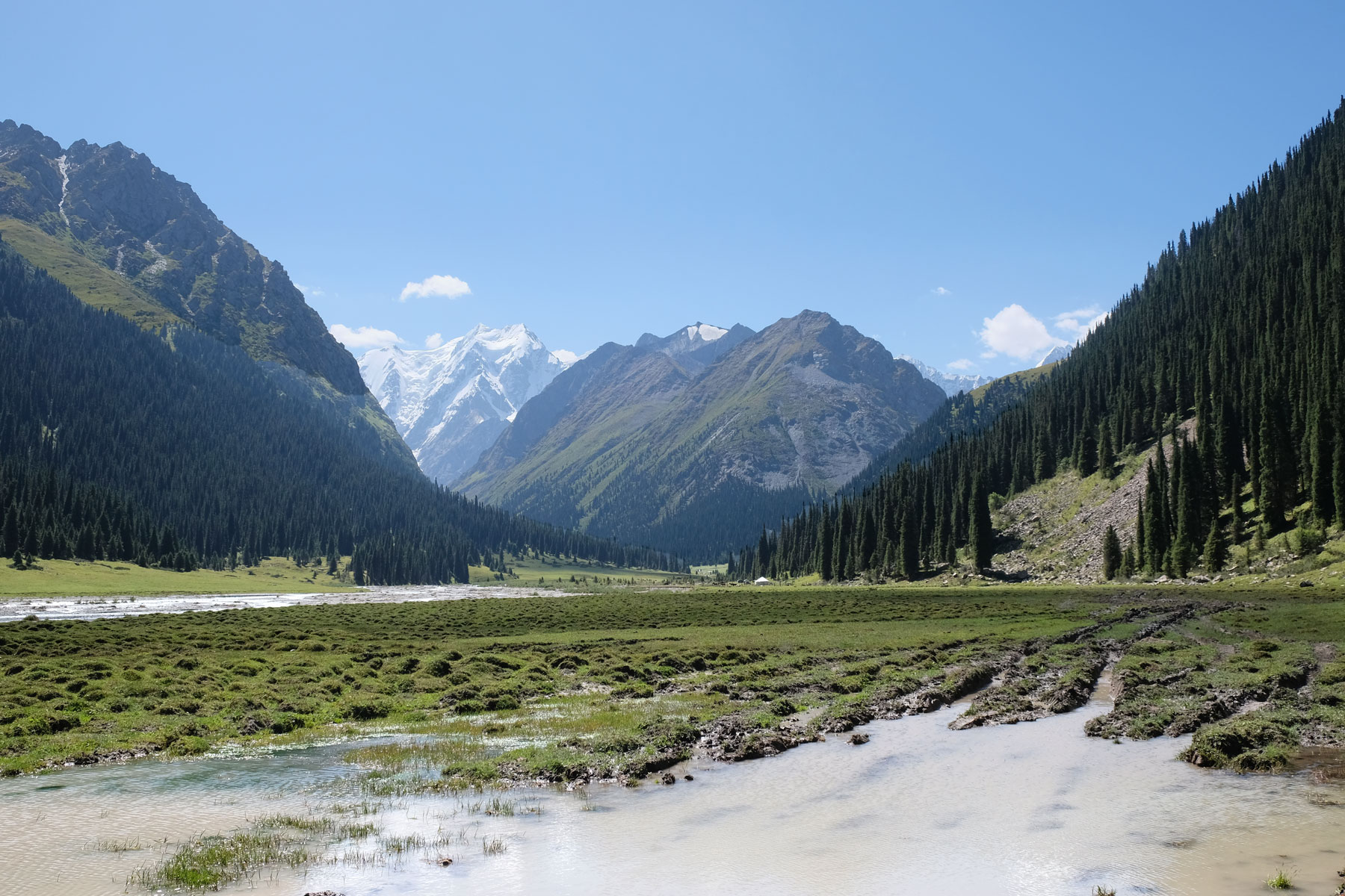 Eine schlammige Pfütze in einer Gebirgslandschaft.