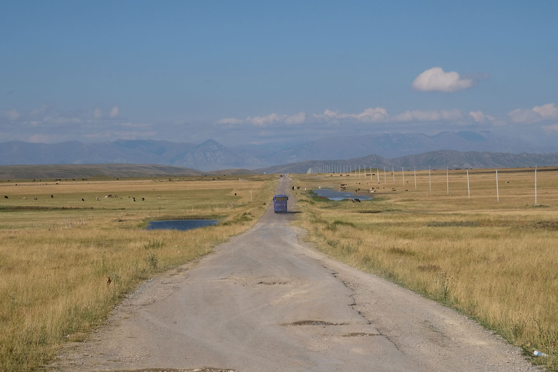 Ein Bus fährt auf einer kleinen Straße in der Steppe im Karakol Tal.