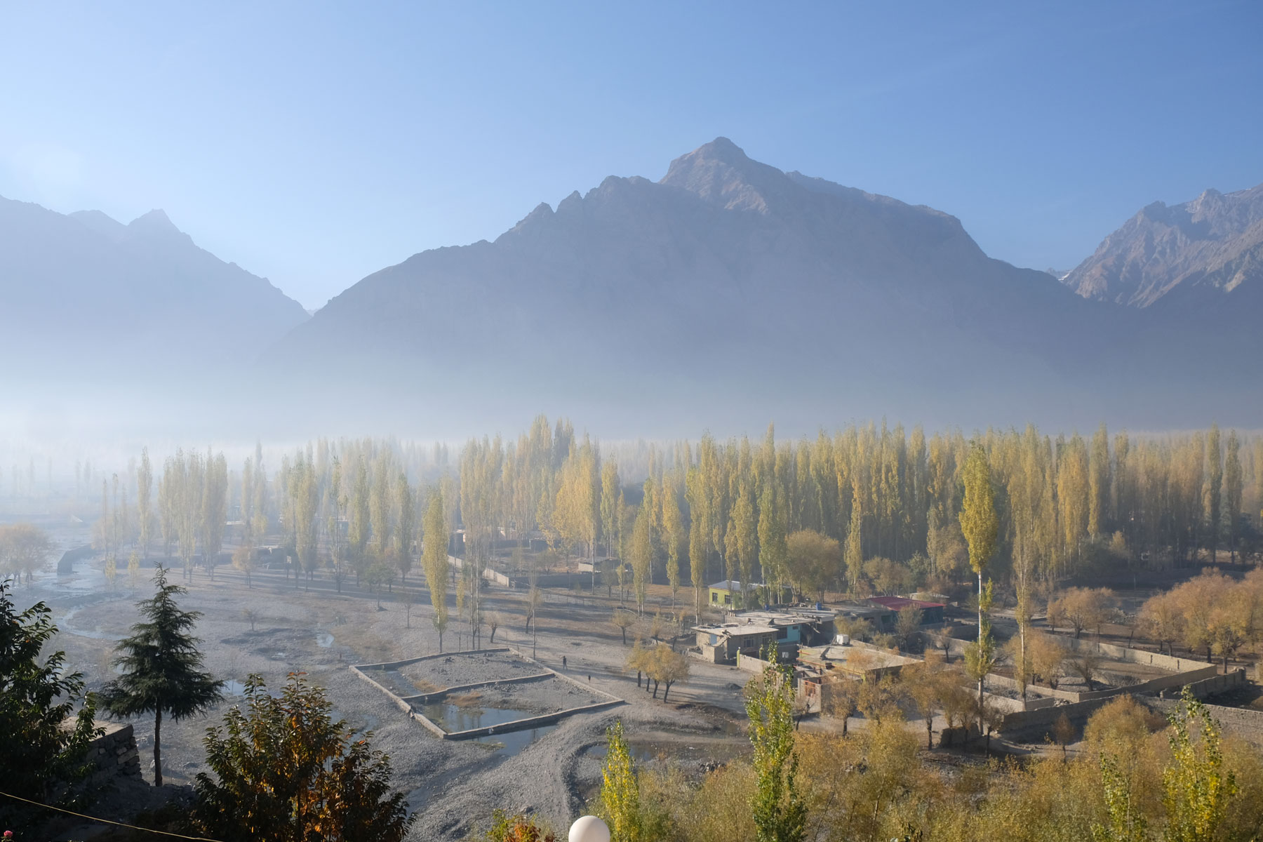 Bäume im Nebel in Skardu in Pakistan.