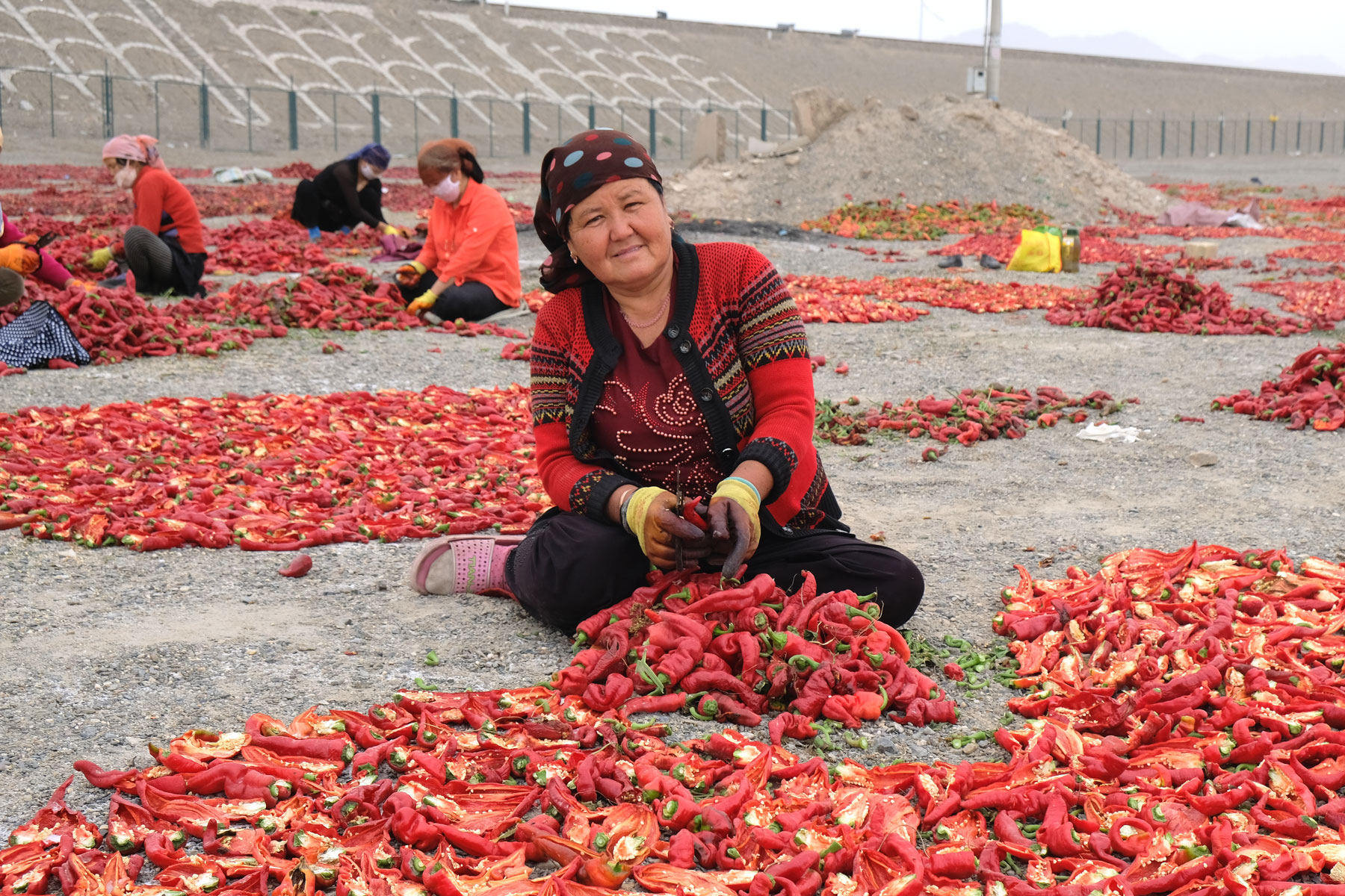 Eine uigurische Frau sitzt vor einem Haufen roter Chilischoten.