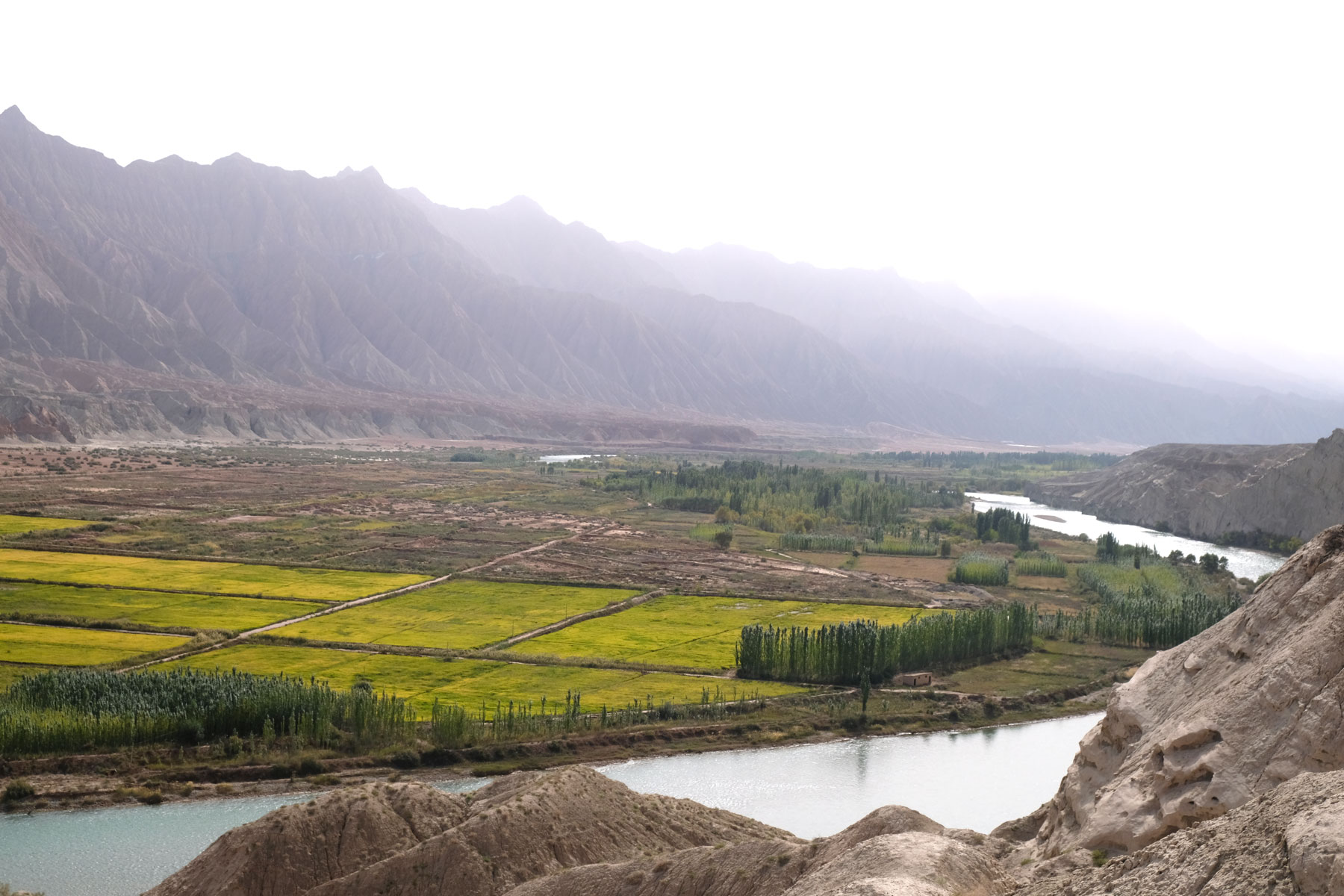 Fluss neben Reisfeldern in Xinjiang.