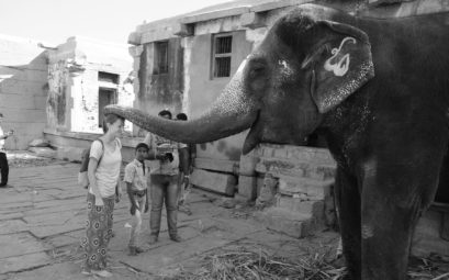 Ein Elefant legt seinen Rüssel auf Leos Kopf.