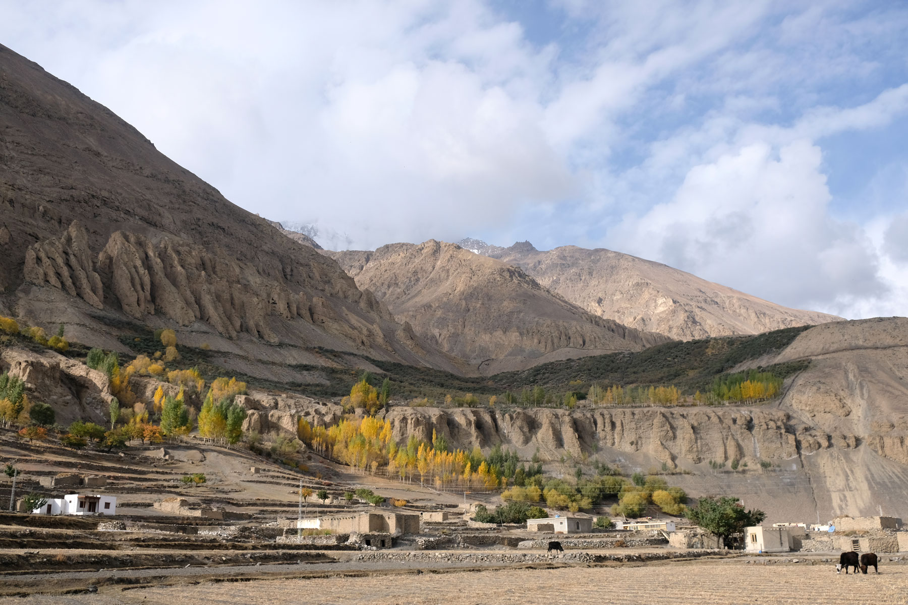 Felder in Shimshal.