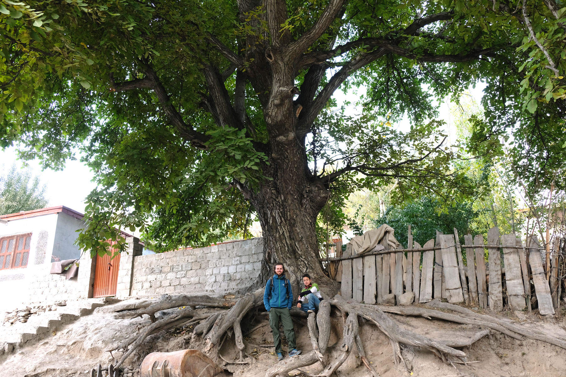 Sebastian und ein Junge stehen unter einem großen Baum.