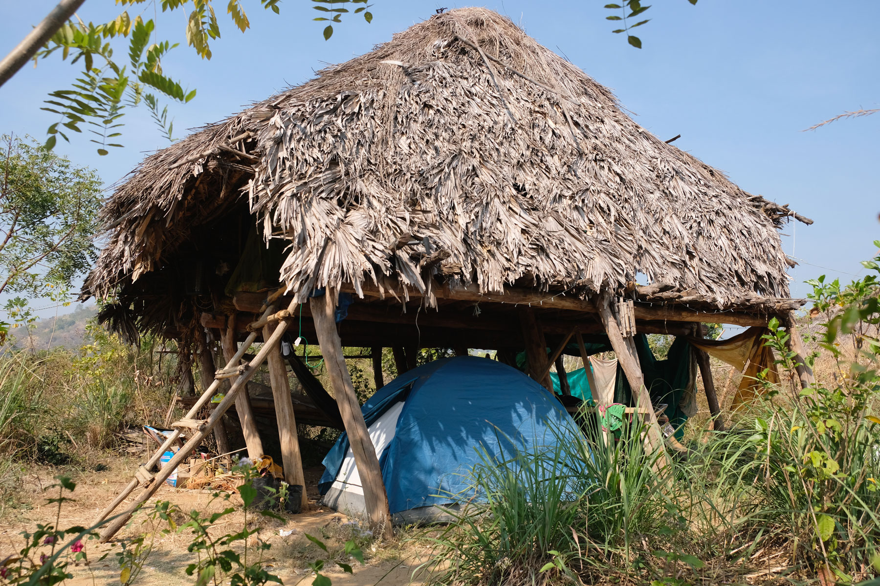 Ein mit Palmenblättern gedecktes Haus, unter dem ein Zelt steht.