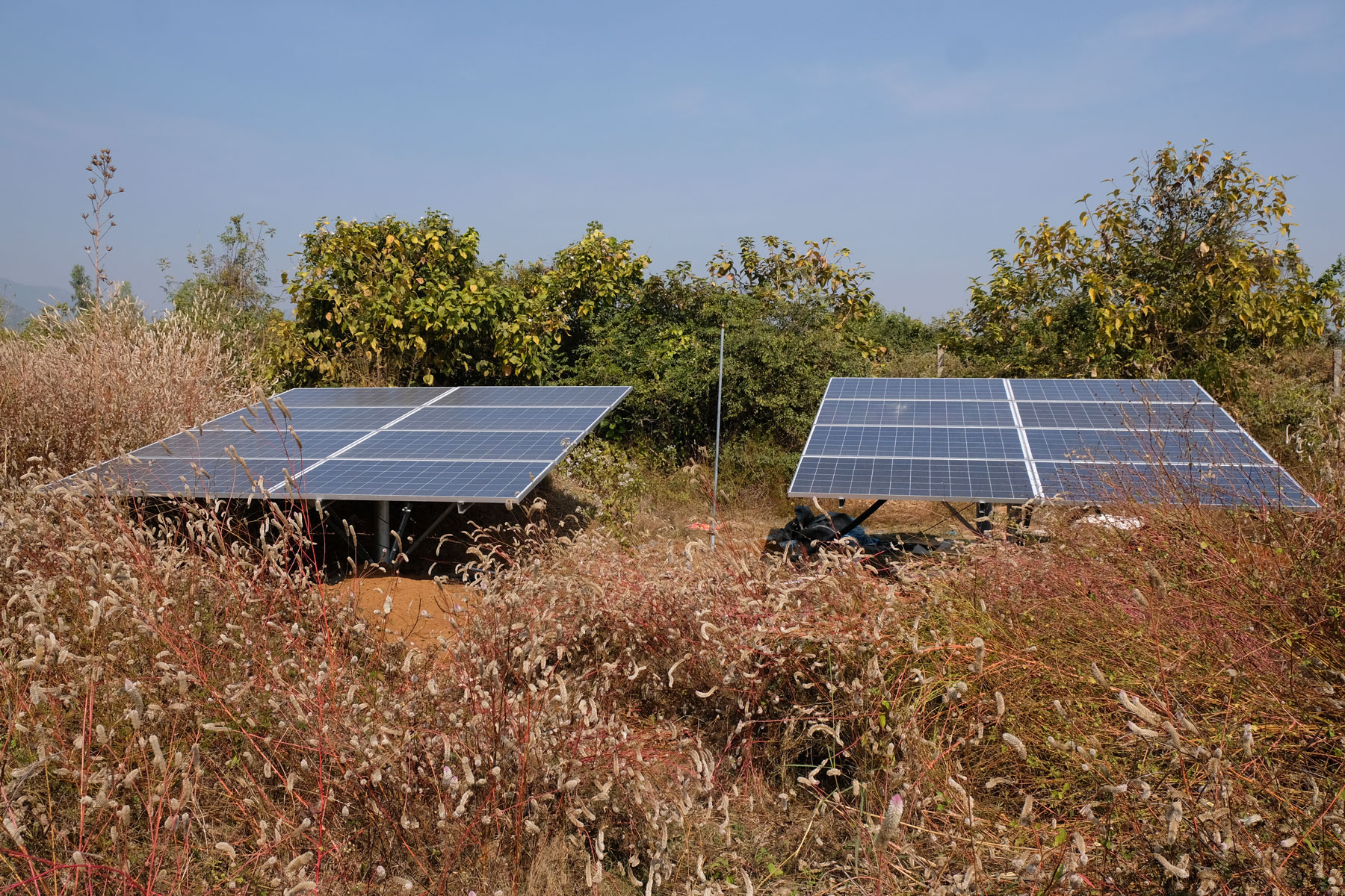 Zwei Solarzellen-Panele auf einer Wiese.