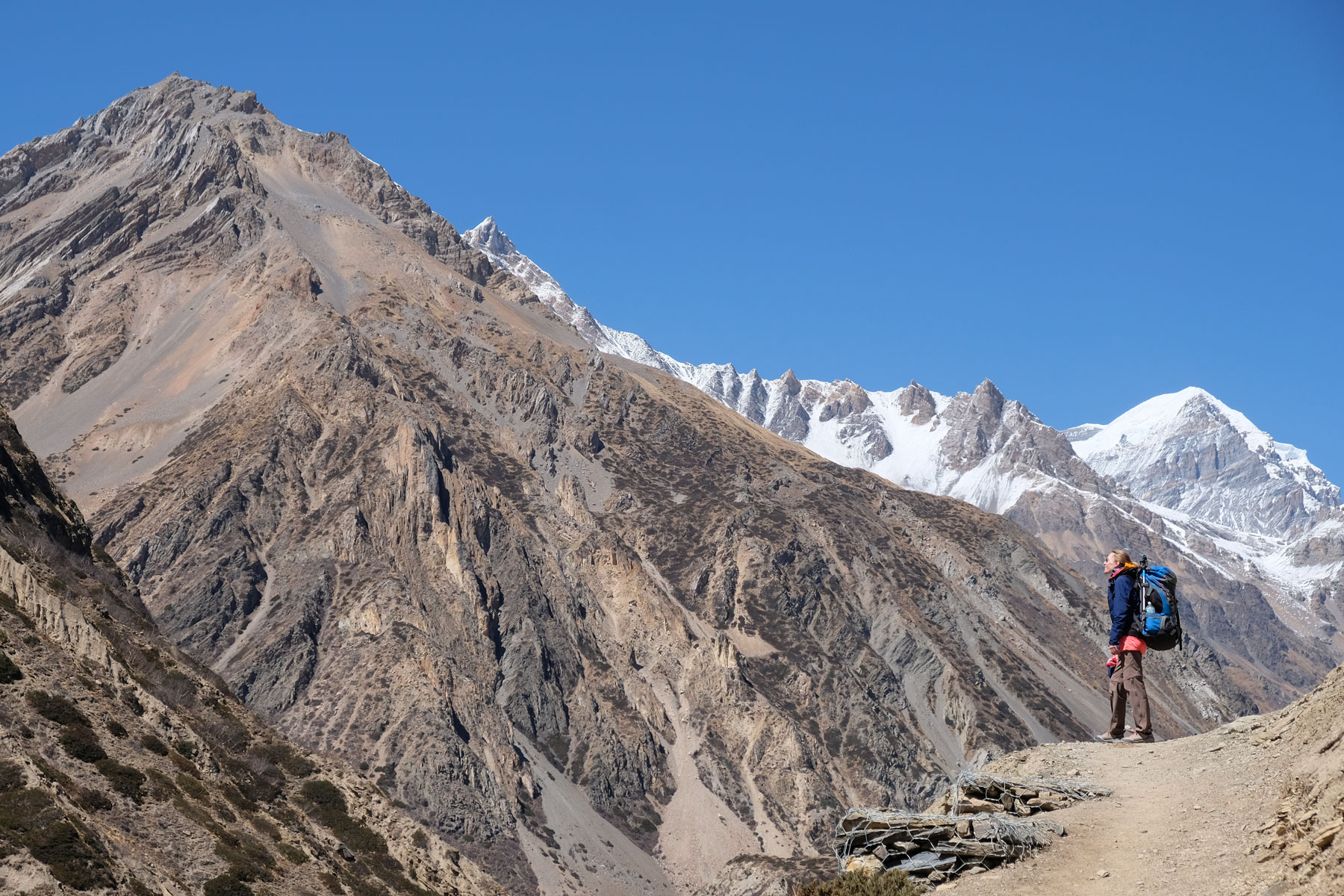 Leo auf einem Wanderweg im Annapurnagebirge.