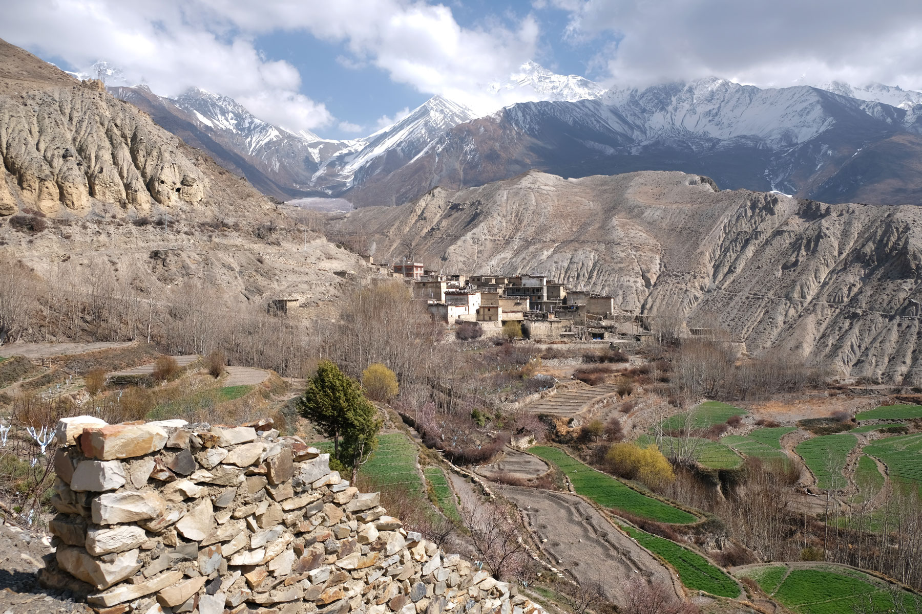 Bergdorf mit terrassenförmigen Feldern auf dem Annapurna Circuit.