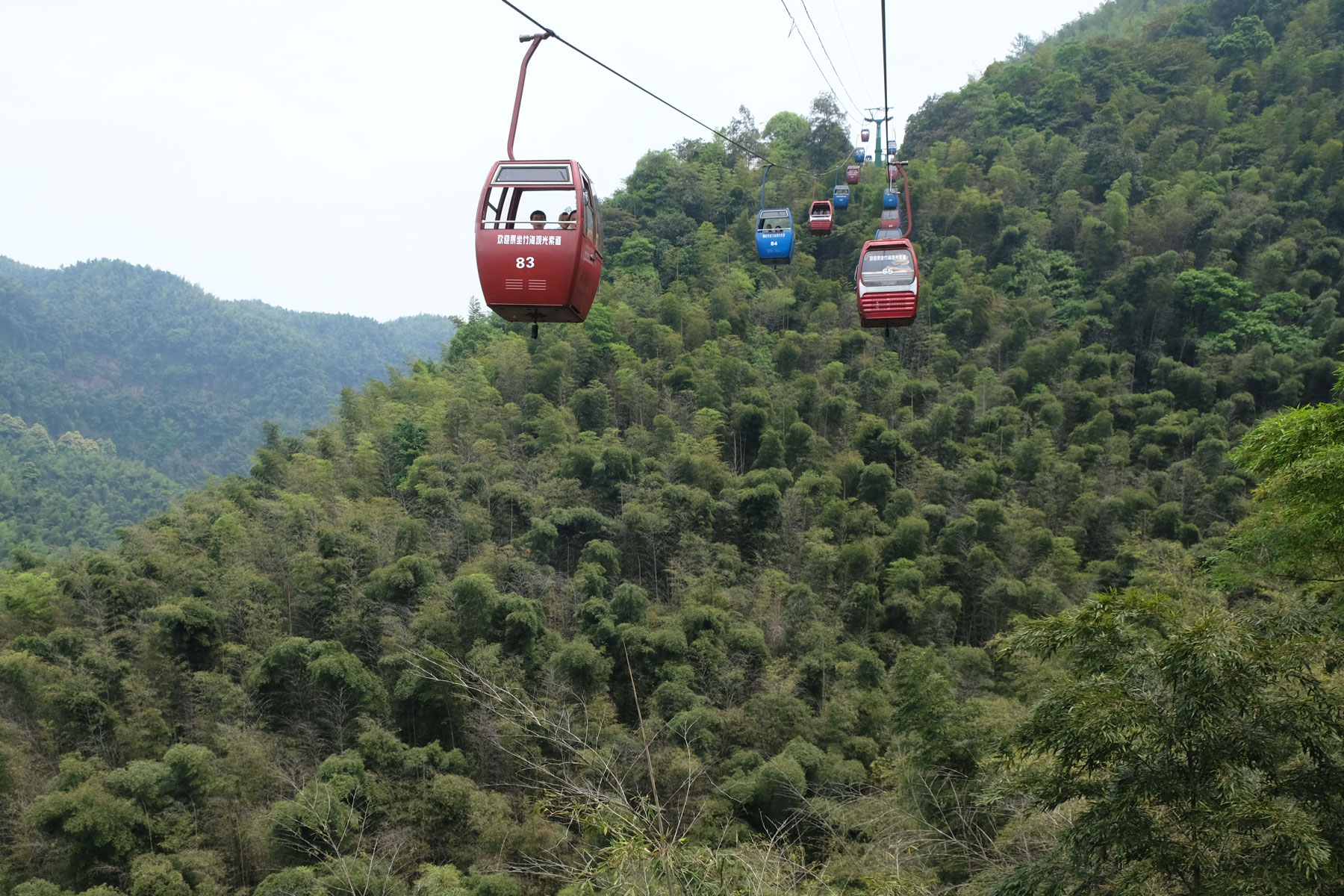 Gondelbahn über dem Bambusmeer im Shunan Zhuhai Nationalpark.