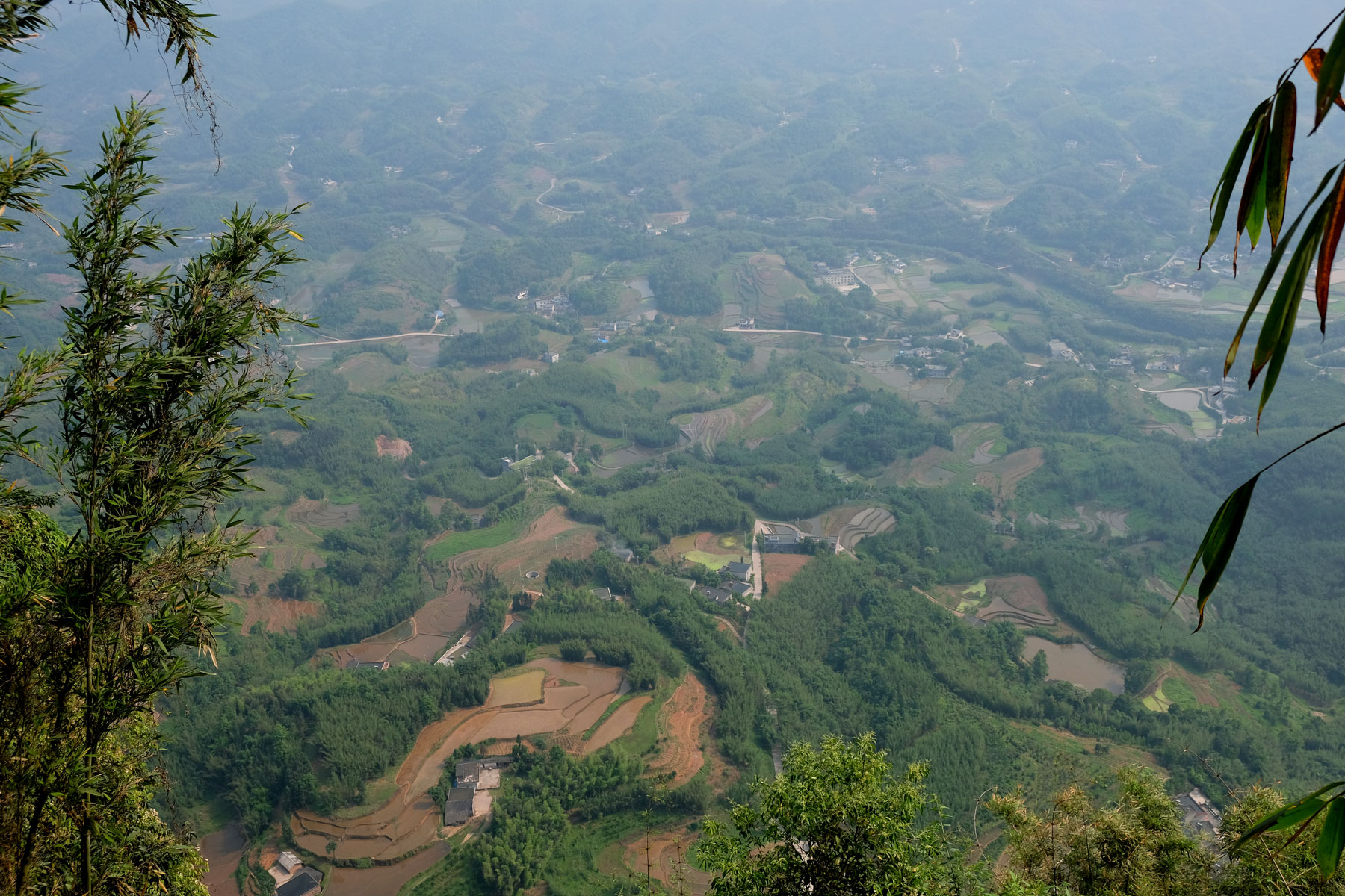 Felder und Wald in Sichuan.