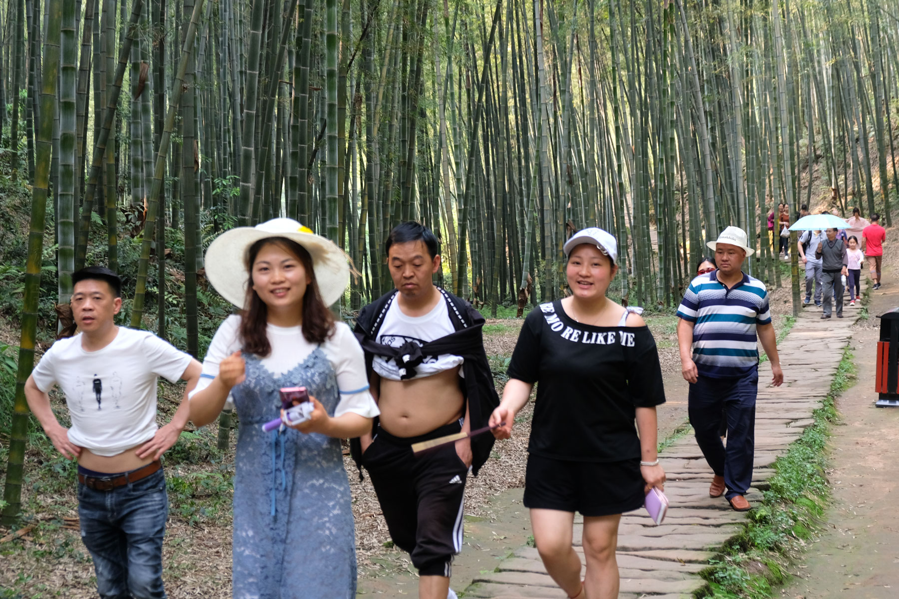 Chinesische Touristen gehen im Bambusmeer spazieren. Ein Chinese entblößt seinen Bauch.