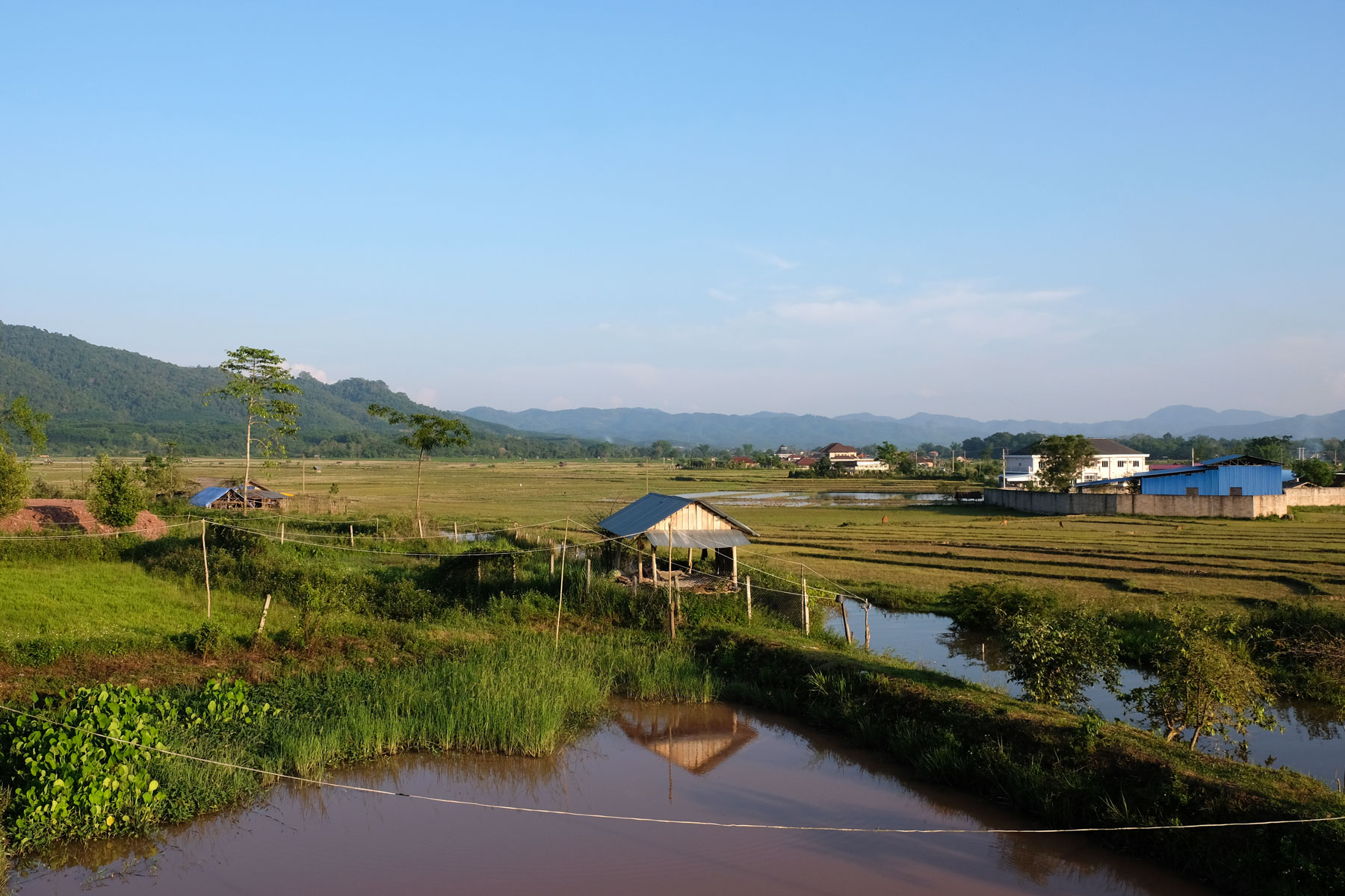 Reisfelder und ein Bach in Luang Namtha in Laos.