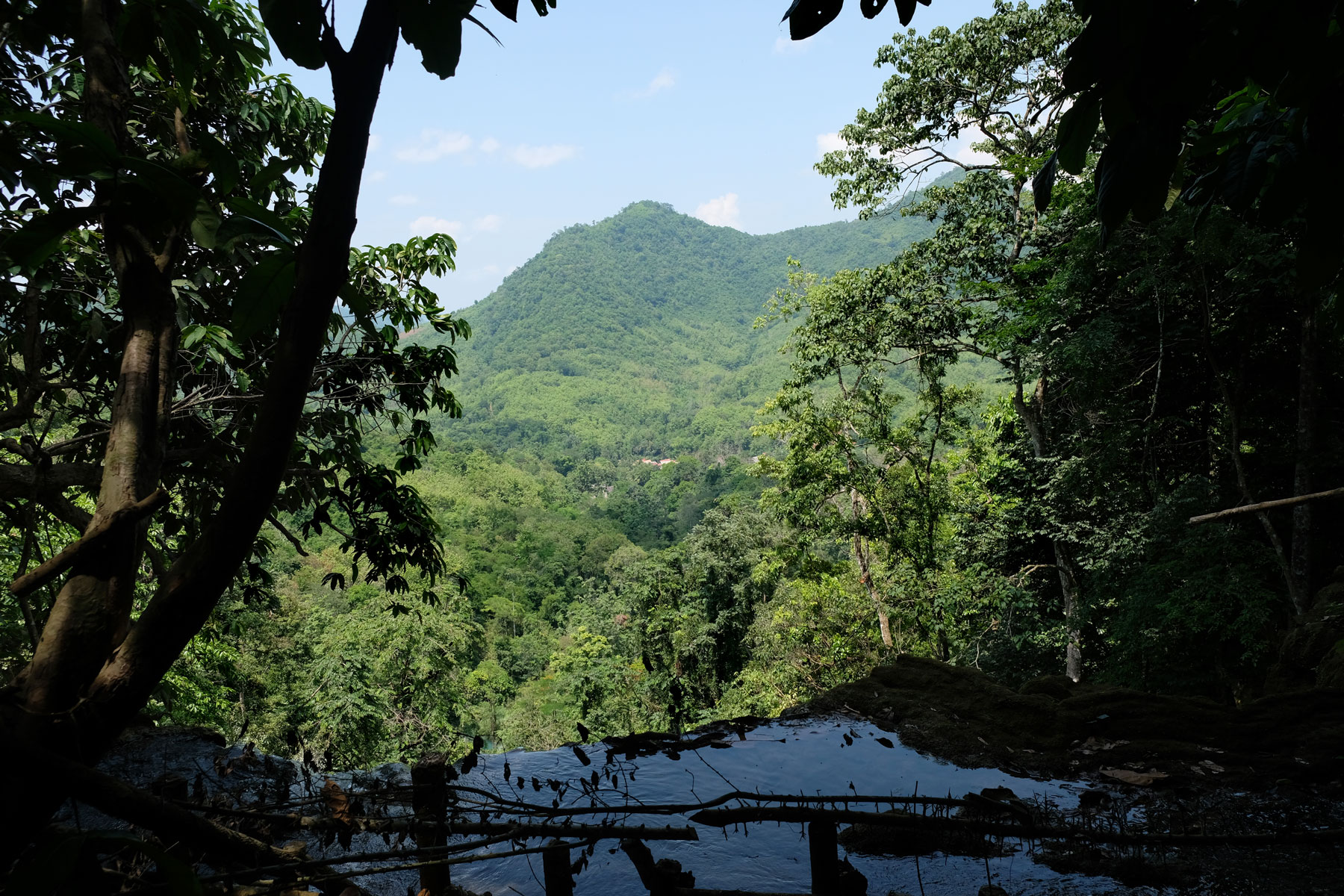 Wald und Wasserfall von Tat Kuang Si.