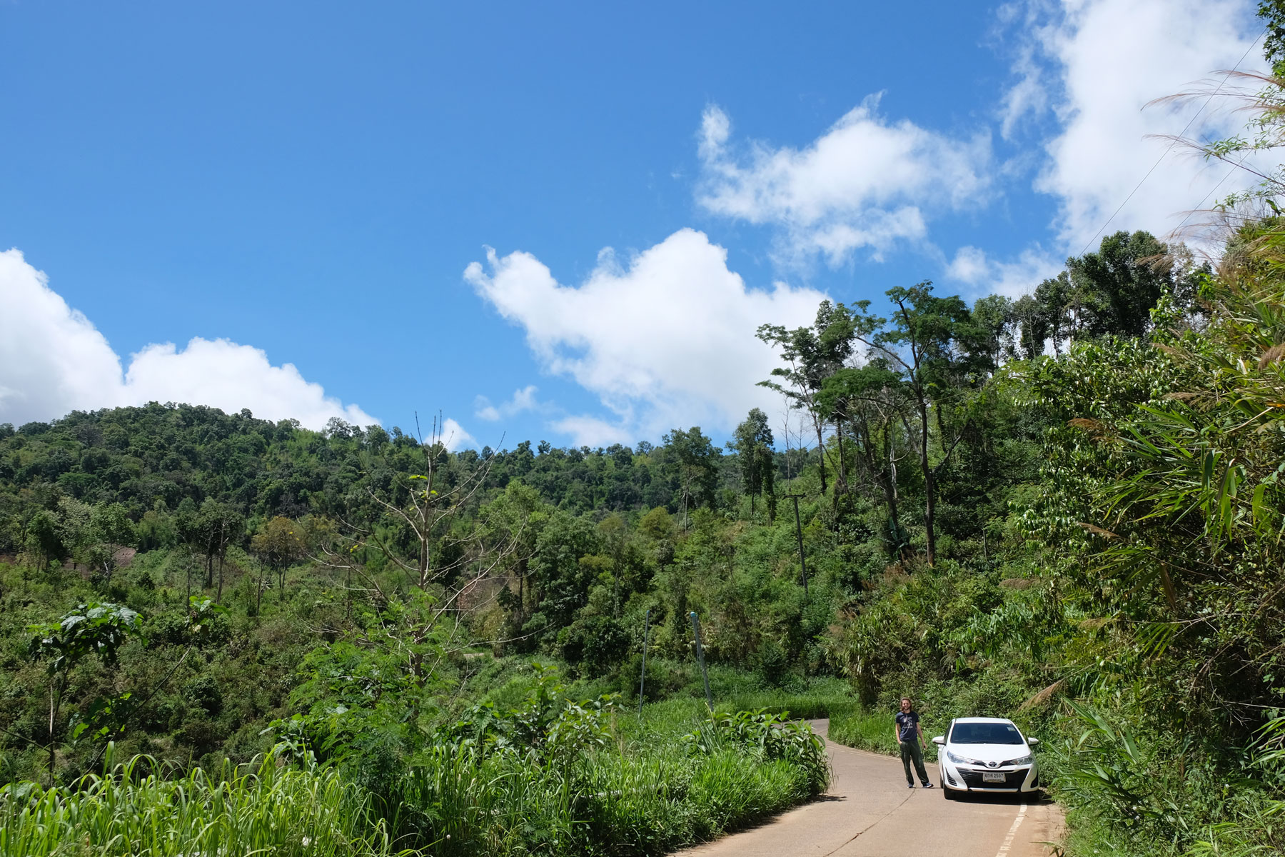 Sebastian steht neben einem weißen Auto in einem thailändischen Nationalpark.