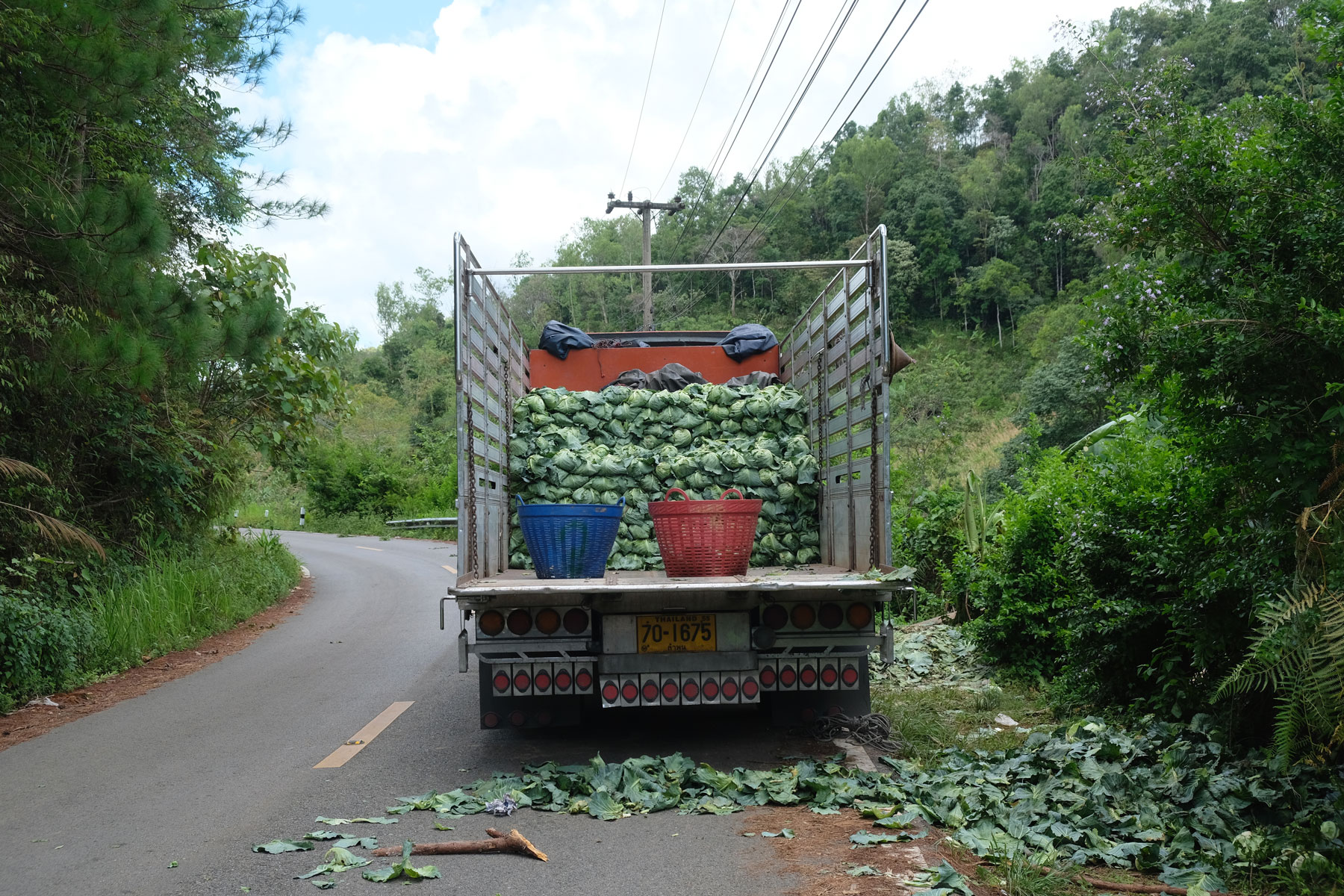 Ein zur Hälfte mit Kohl beladener Lastwagen im Nordosten Thailands.
