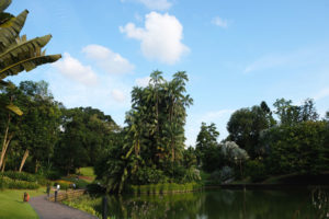 Eine Insel im Botanischen Garten Singapur leuchtet in der Sonne