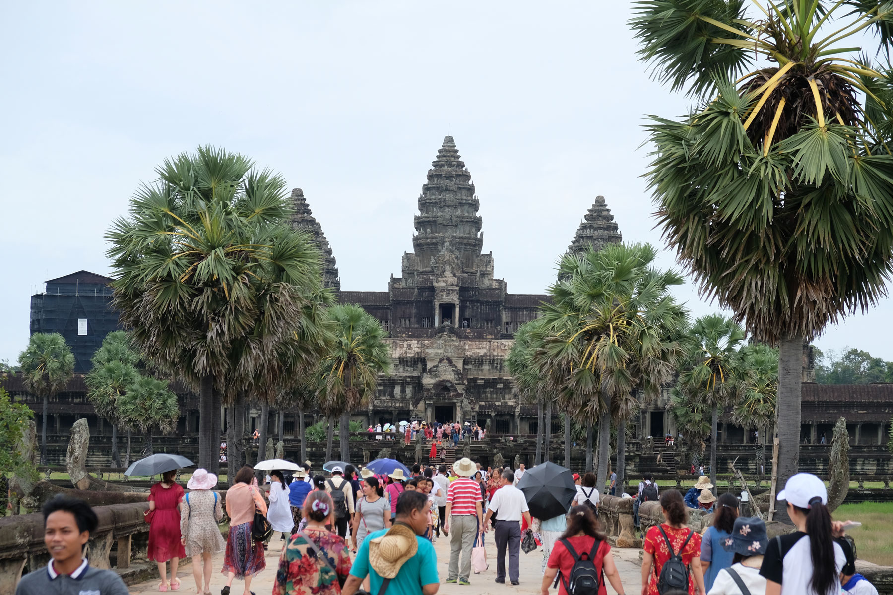 Besuchermassen strömen auf den Haupteingang von Angkor Wat zu