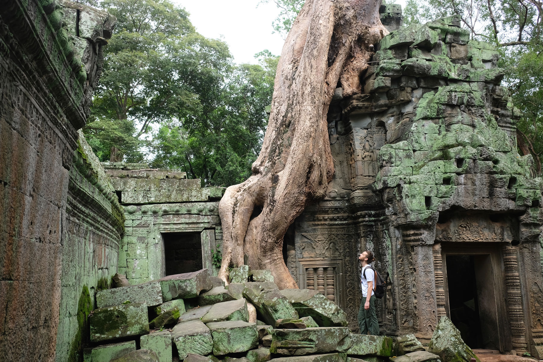 Sebastian steht vor den riesigen Wurzeln im Ta Prohm Tempel in Angkor Wat