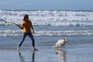 Leo wirft Bodhi am Strand einen Ball