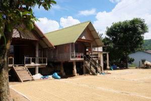Vor zwei Stelzenhäusern aus Holz liegen riesige Planen, auf denen Reis in der Sonne trocknet.