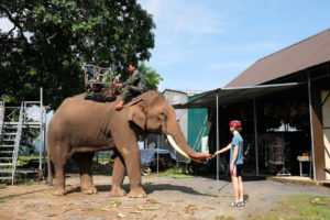 Sebastian begrüßt einen Elefanten in Lien Son in Vietnam.