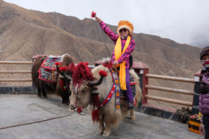 Eine Chinesin sitzt auf einem Yak und trägt traditionelle tibetische Kleidung.
