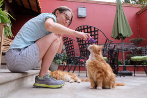 Leo bürstet Kater Curry beim House Sitting in San Miguel de Allende in Mexiko.