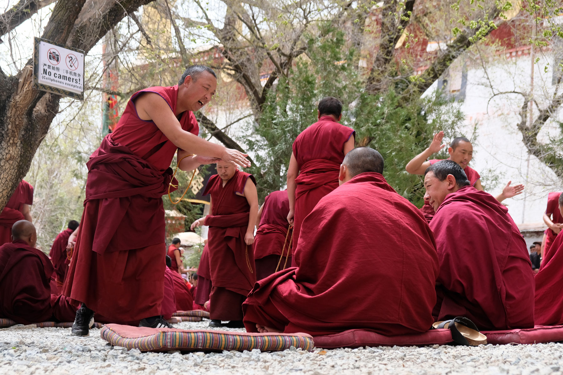 Tibetische Mönche diskutieren lautstark im Sera Kloster in Lhasa in Tibet.