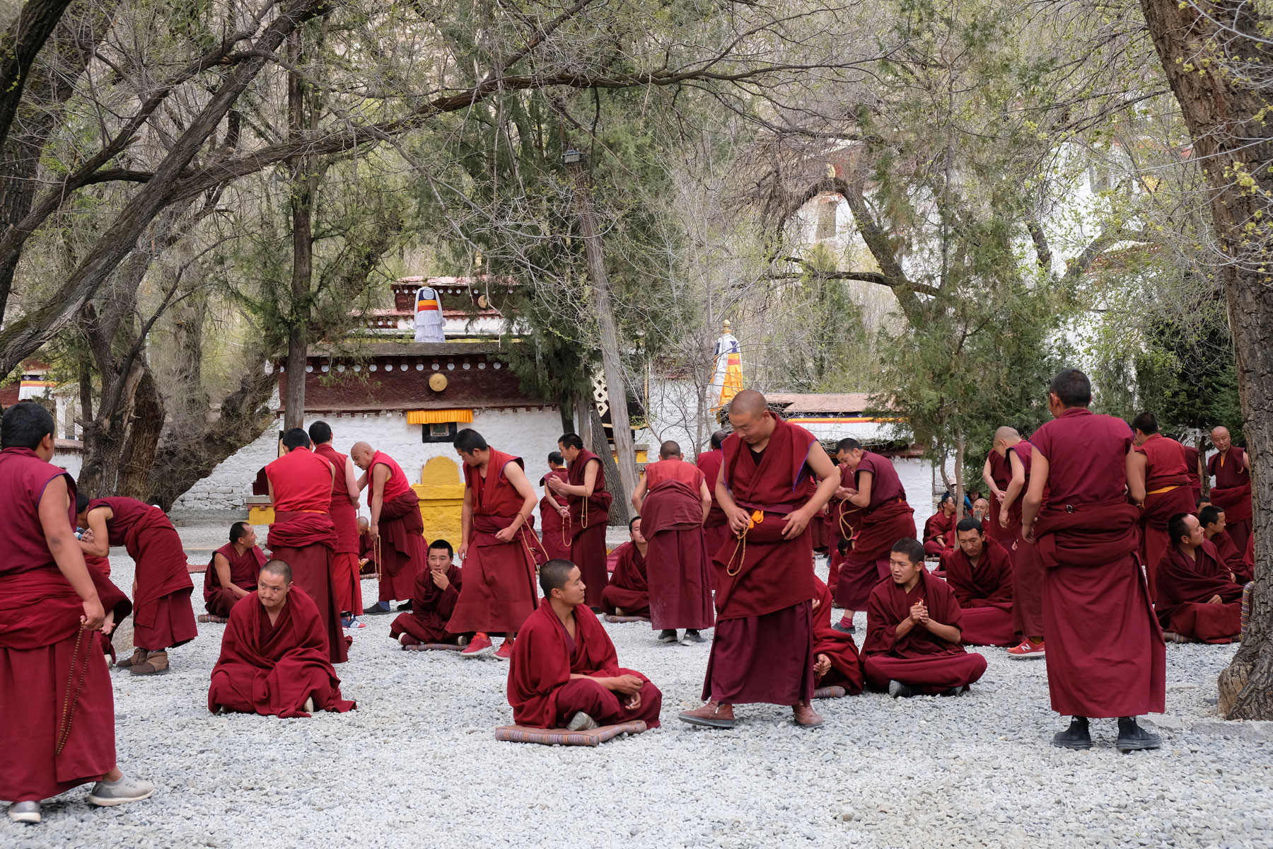 Tibetische Mönche diskutieren im Sera Kloster in Lhasa in Tibet.