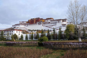 Der Potala-Palast des Dalai Lamas erhebt sich über der Blumenwiese in Lhasa in Tibet.