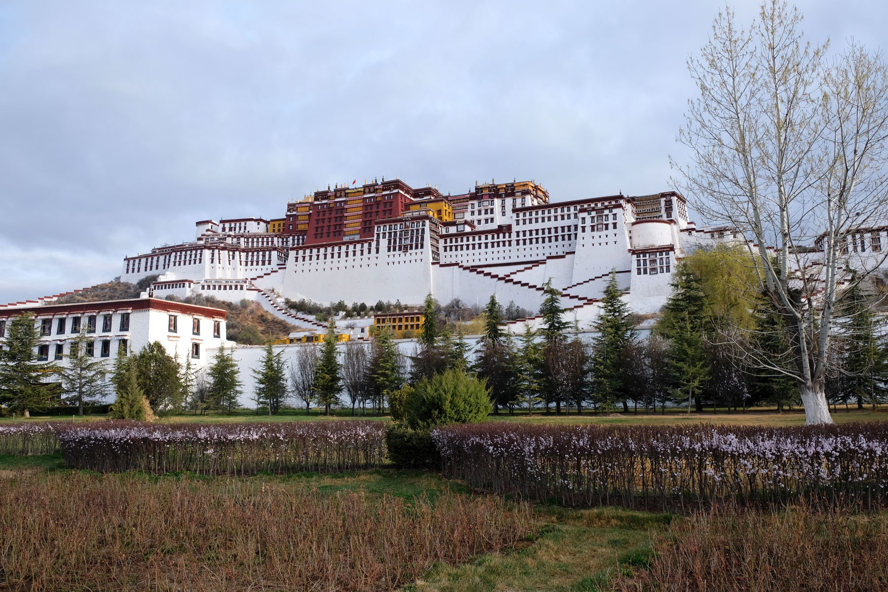 Der Potala-Palast des Dalai Lamas erhebt sich über der Blumenwiese in Lhasa in Tibet.